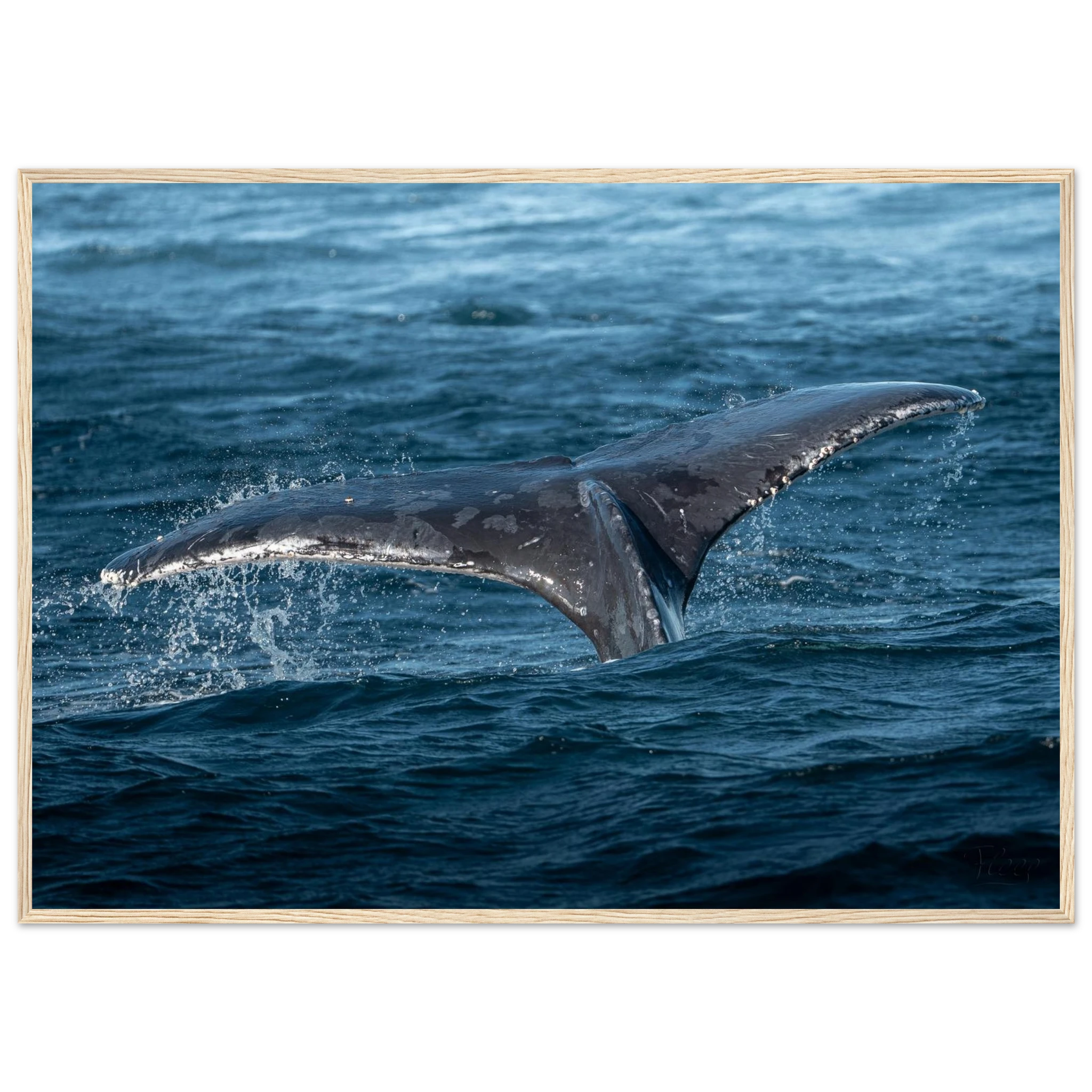 d1582da9-8913-4c0c-8e9b-187e40e6fab3