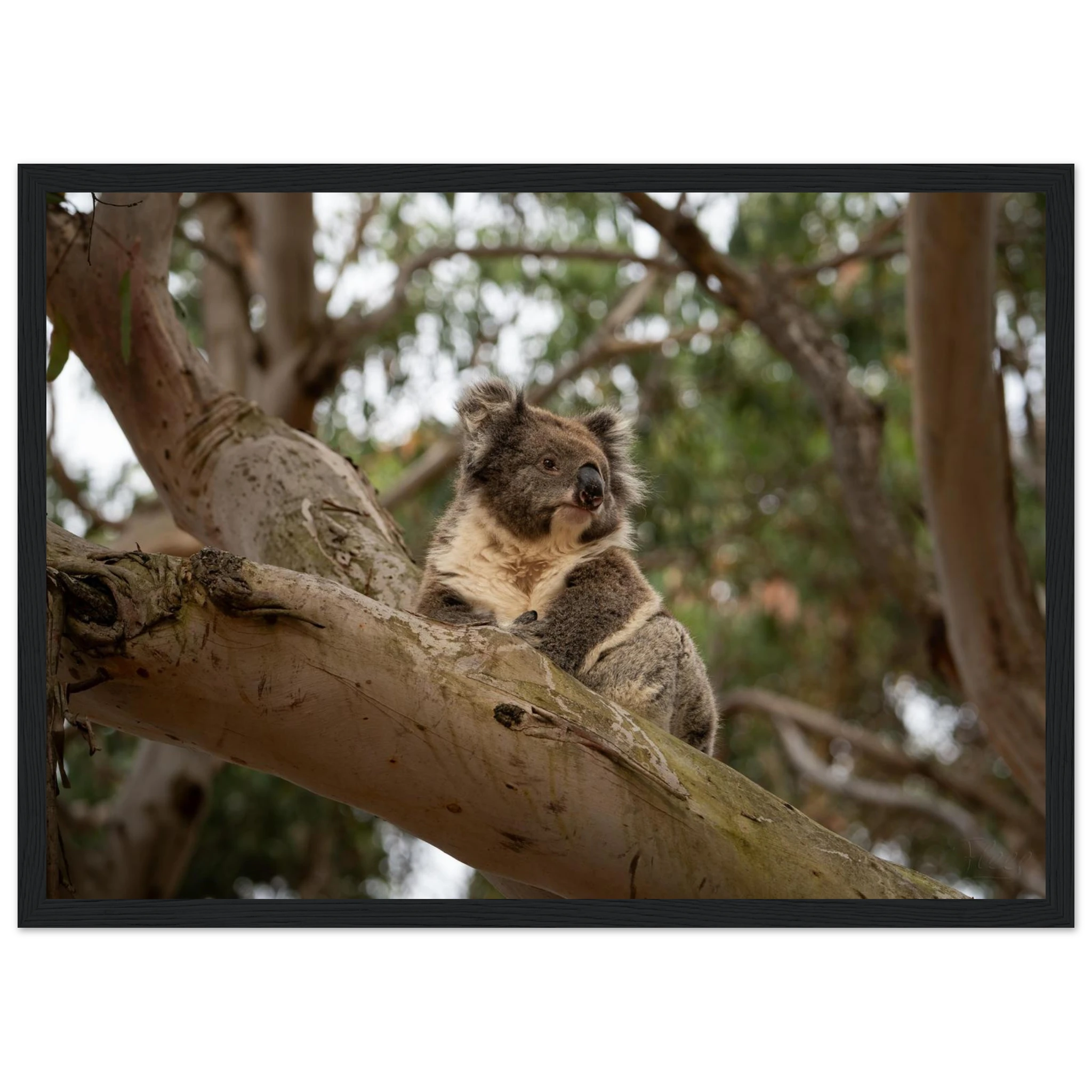 d1fc7fbd-c149-46ff-a381-77c76fdda873