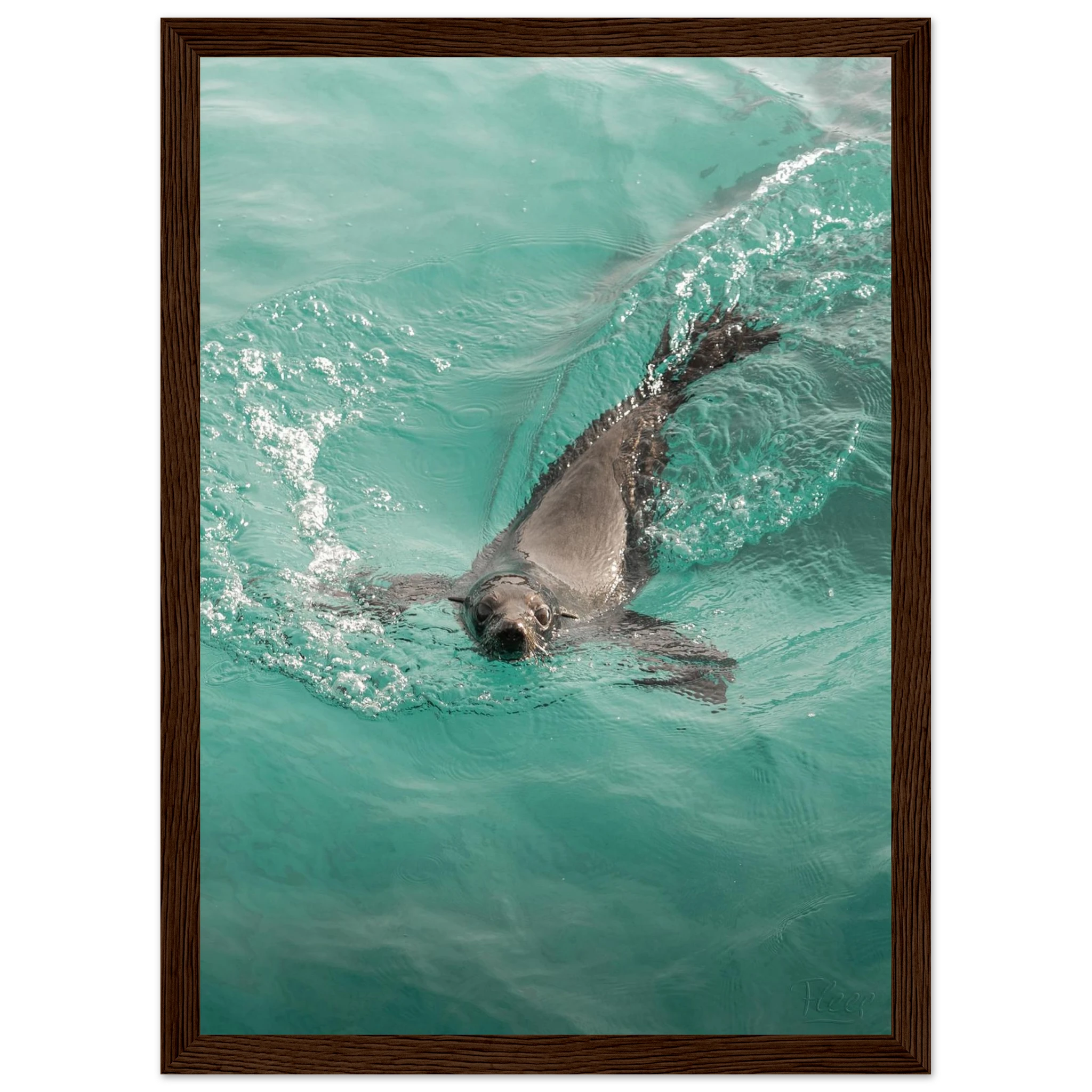 d232fedc-675e-4779-921c-07f584fc8b38