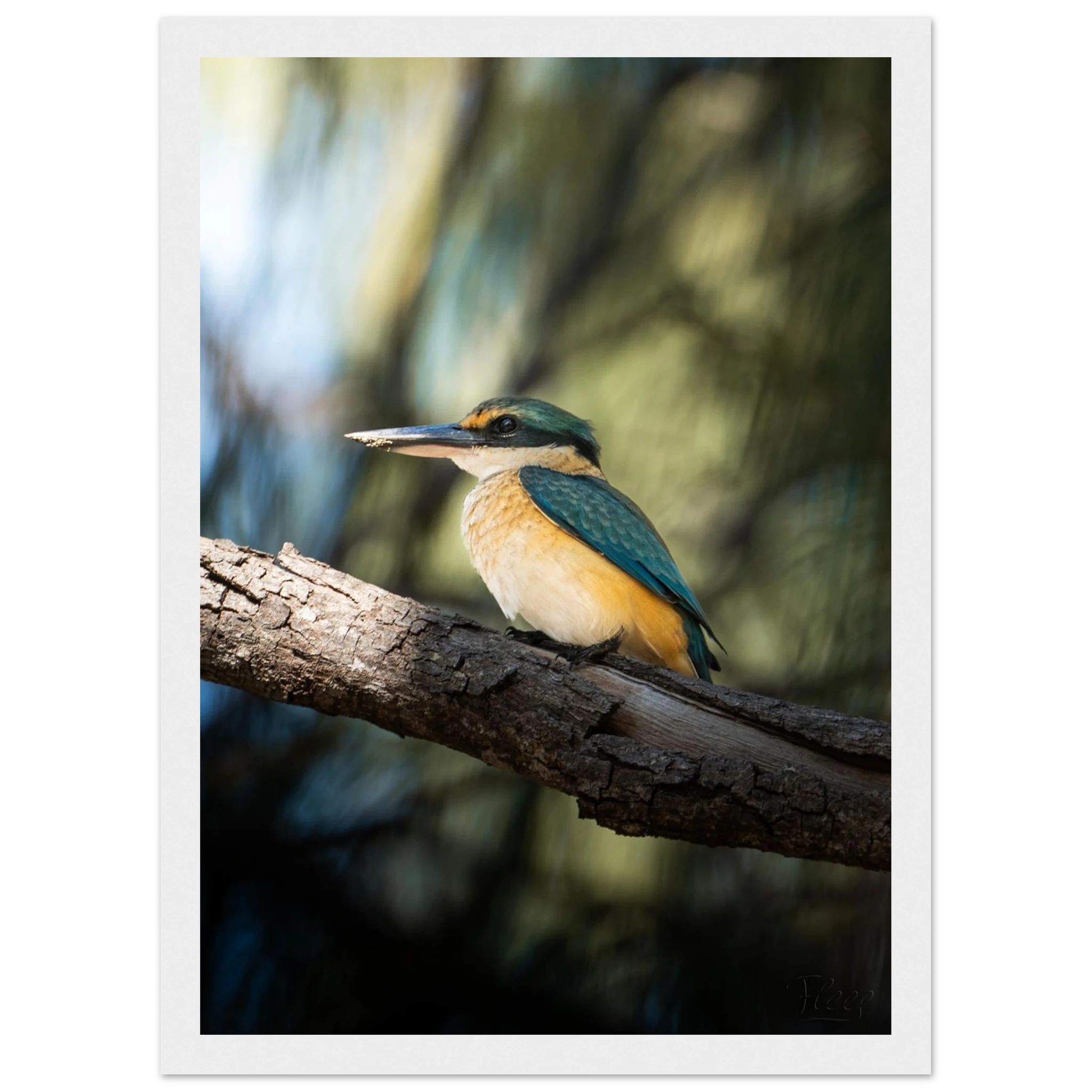 d23d64fe-fe10-4e33-89e3-6dbd9b503935