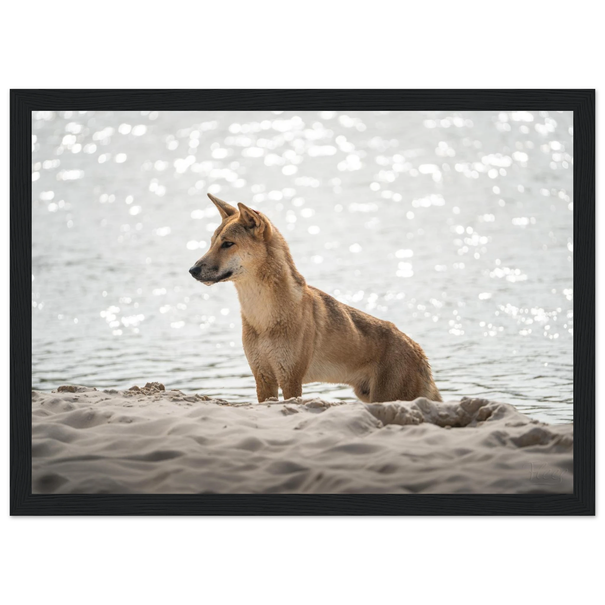 d24102b5-288c-40fc-a1b2-e1643c2a95bf