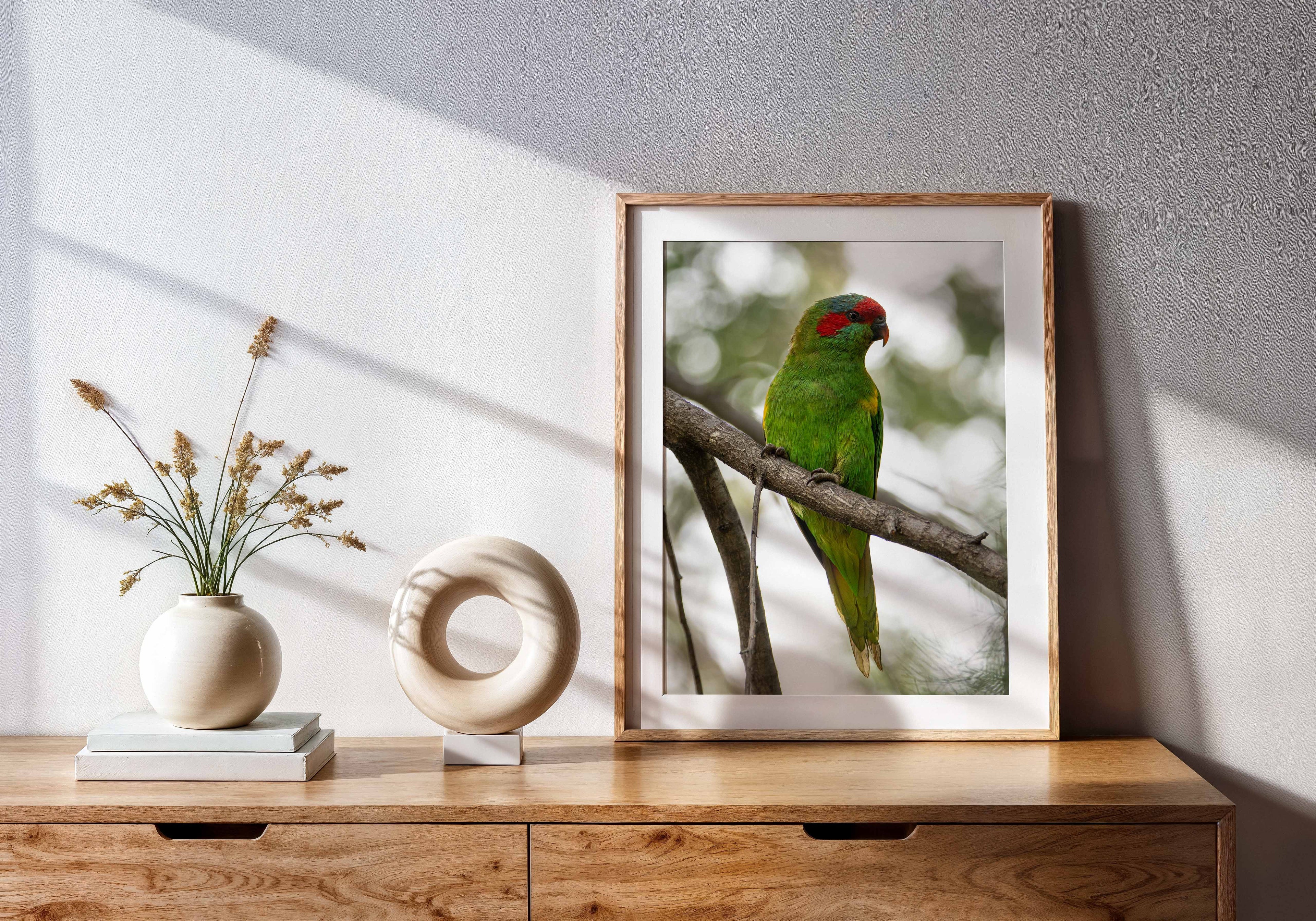 d2d20fee-fcb7-4d0a-964f-bb8ca33c4975