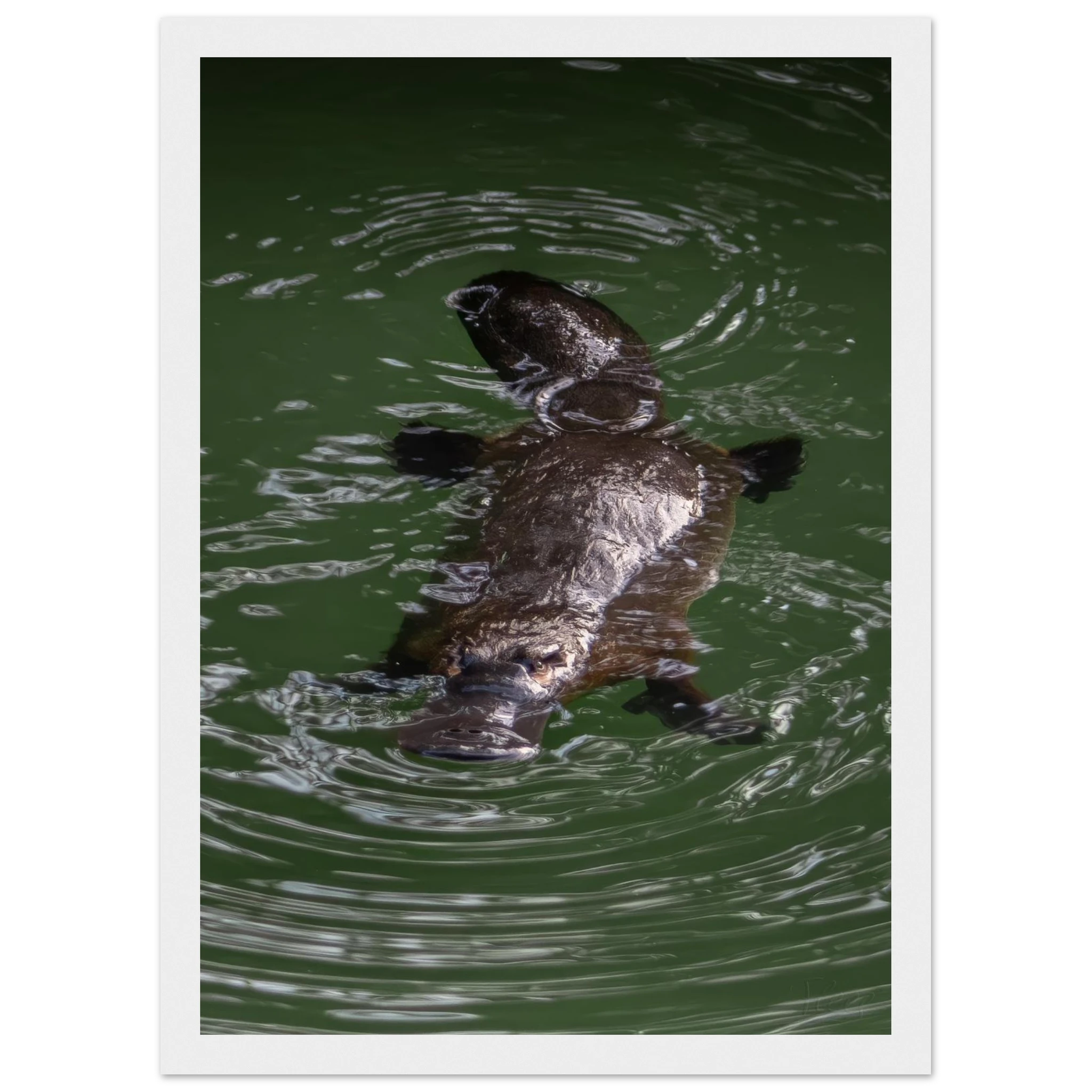 d3684b86-a076-4ac4-999e-54911439f3d3