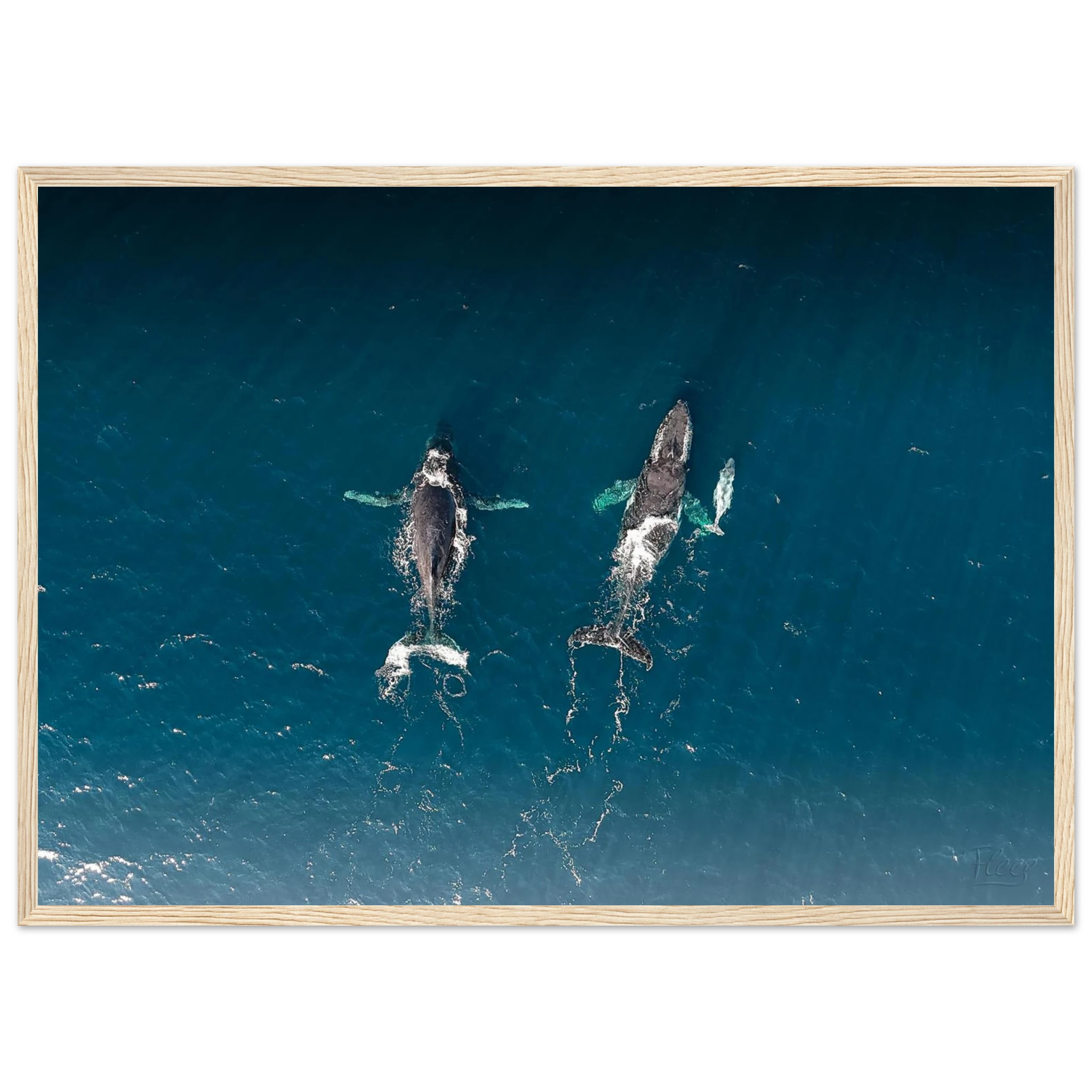 d38e23d8-e8bc-4103-a5f9-b0df773548f1