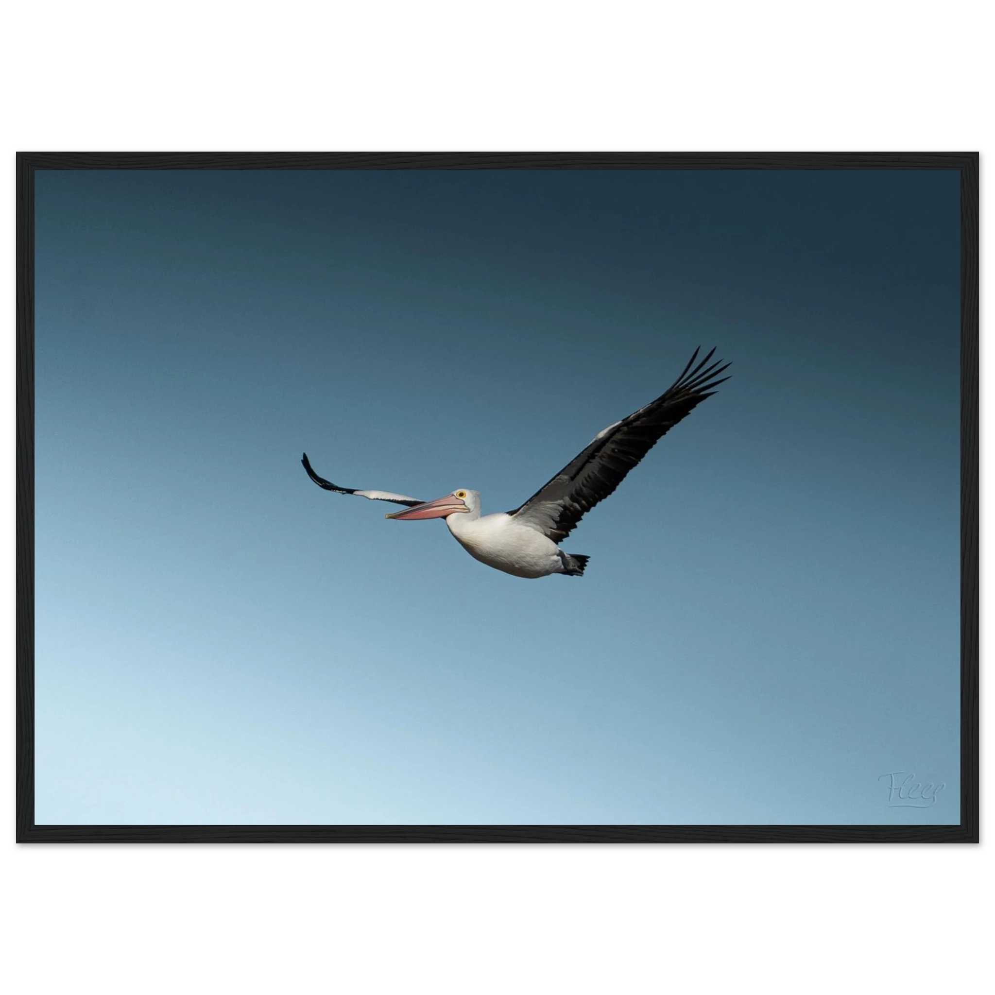 d462d2c2-3237-4e7d-9139-ed8756eae44e