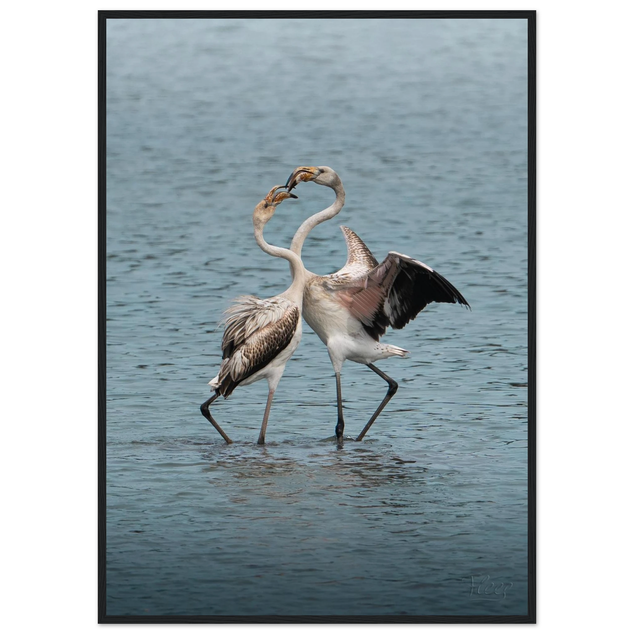 d4827a1a-70c9-434f-a198-2c5ed385c6e1