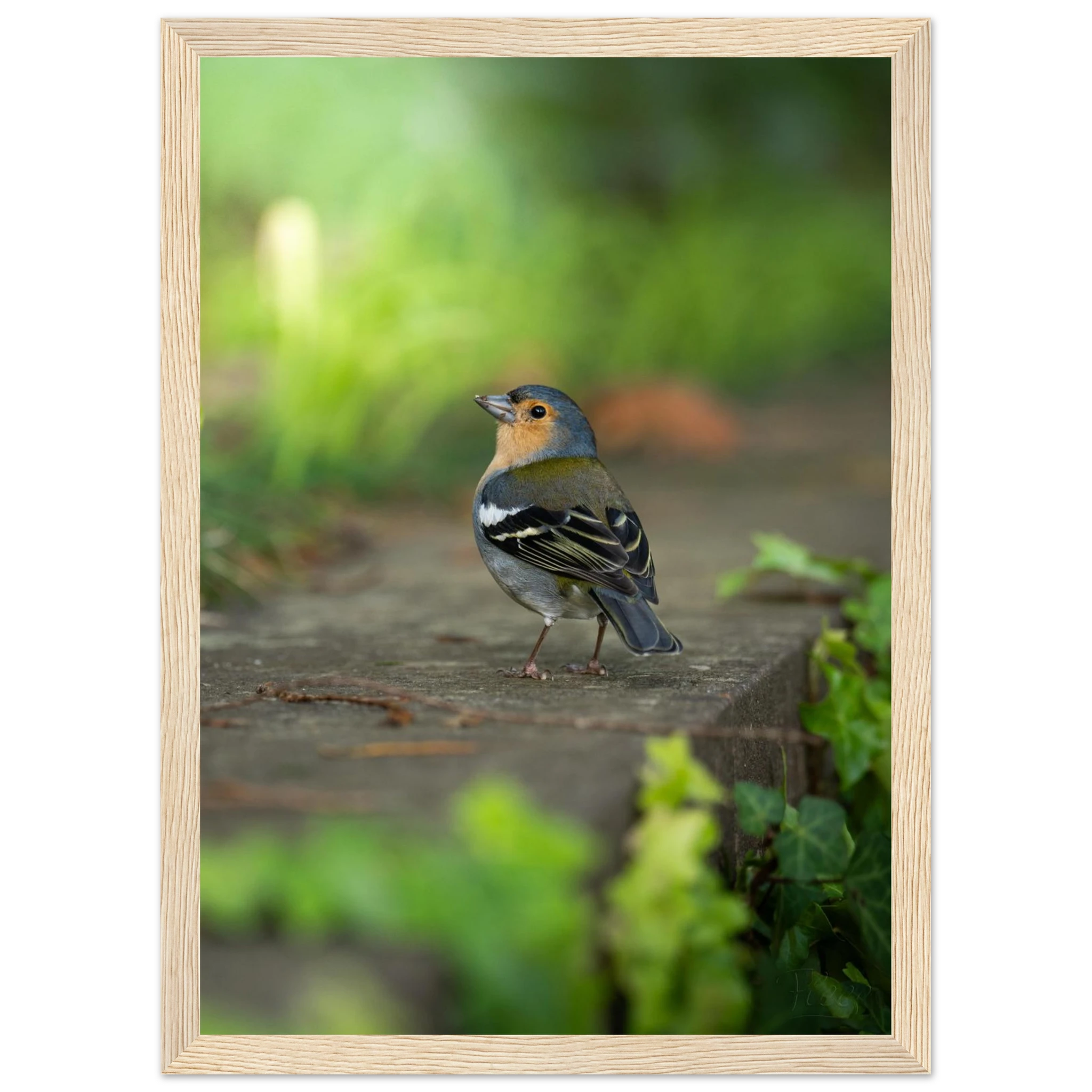 d48abe61-5a35-4107-a15a-fc9b9c1081e8