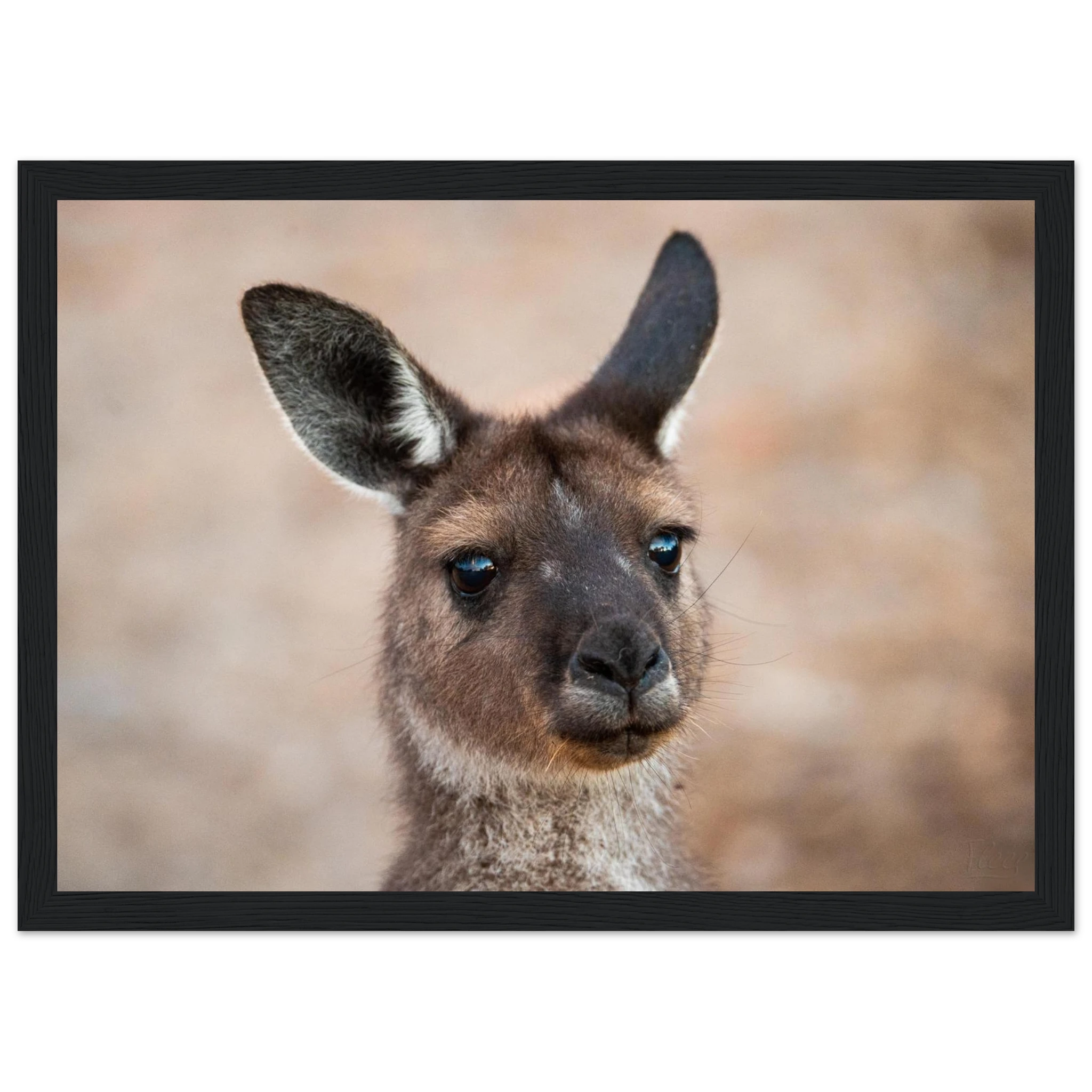 d48d3058-b4be-4848-8376-c40fd388eb21