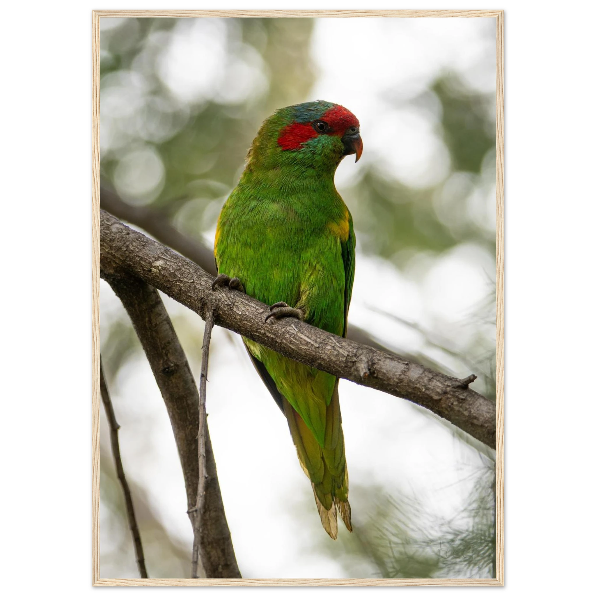 d5ed92d8-2f89-455a-8c48-fbeb8372f680