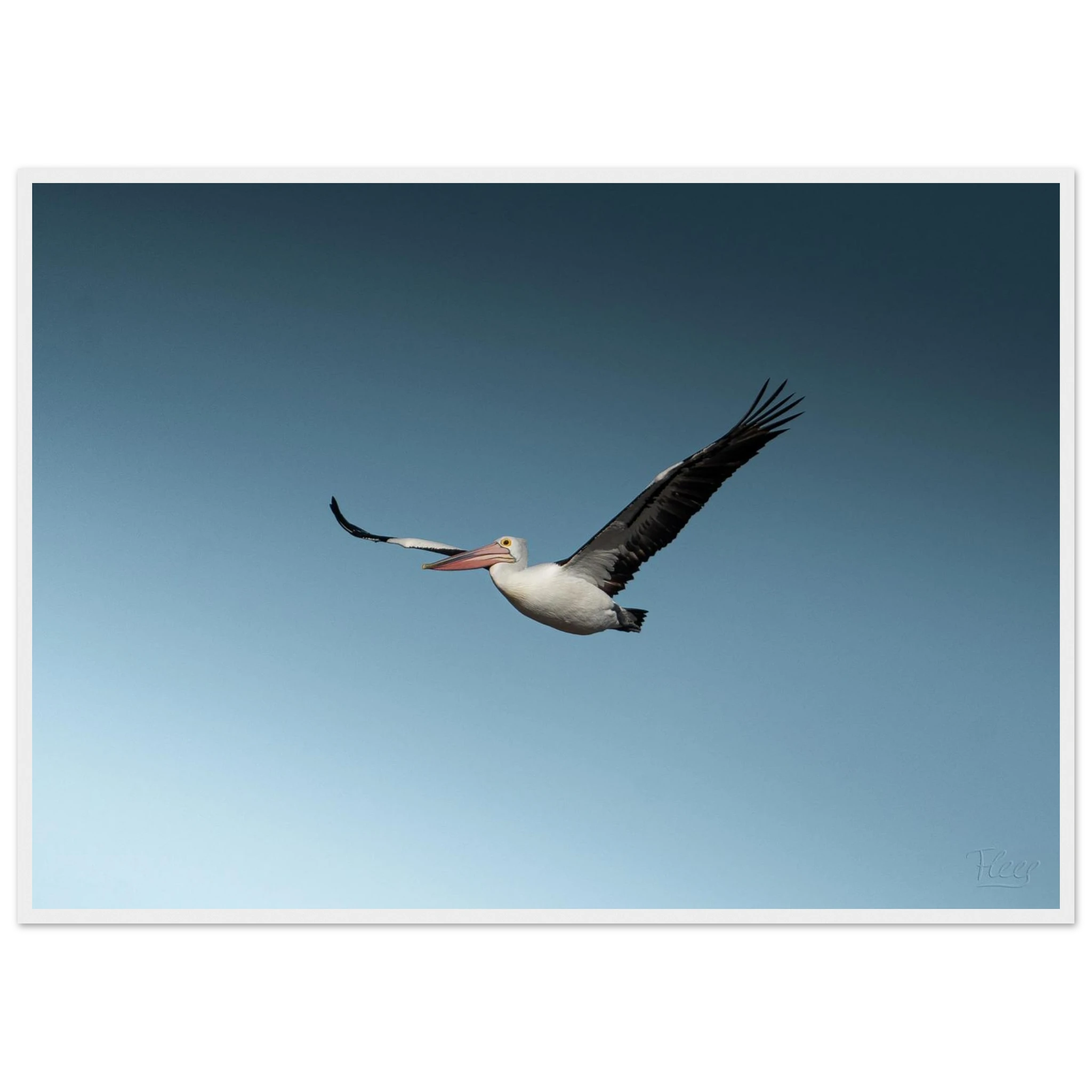 d6211f48-6318-421e-a294-b56b6caf9646