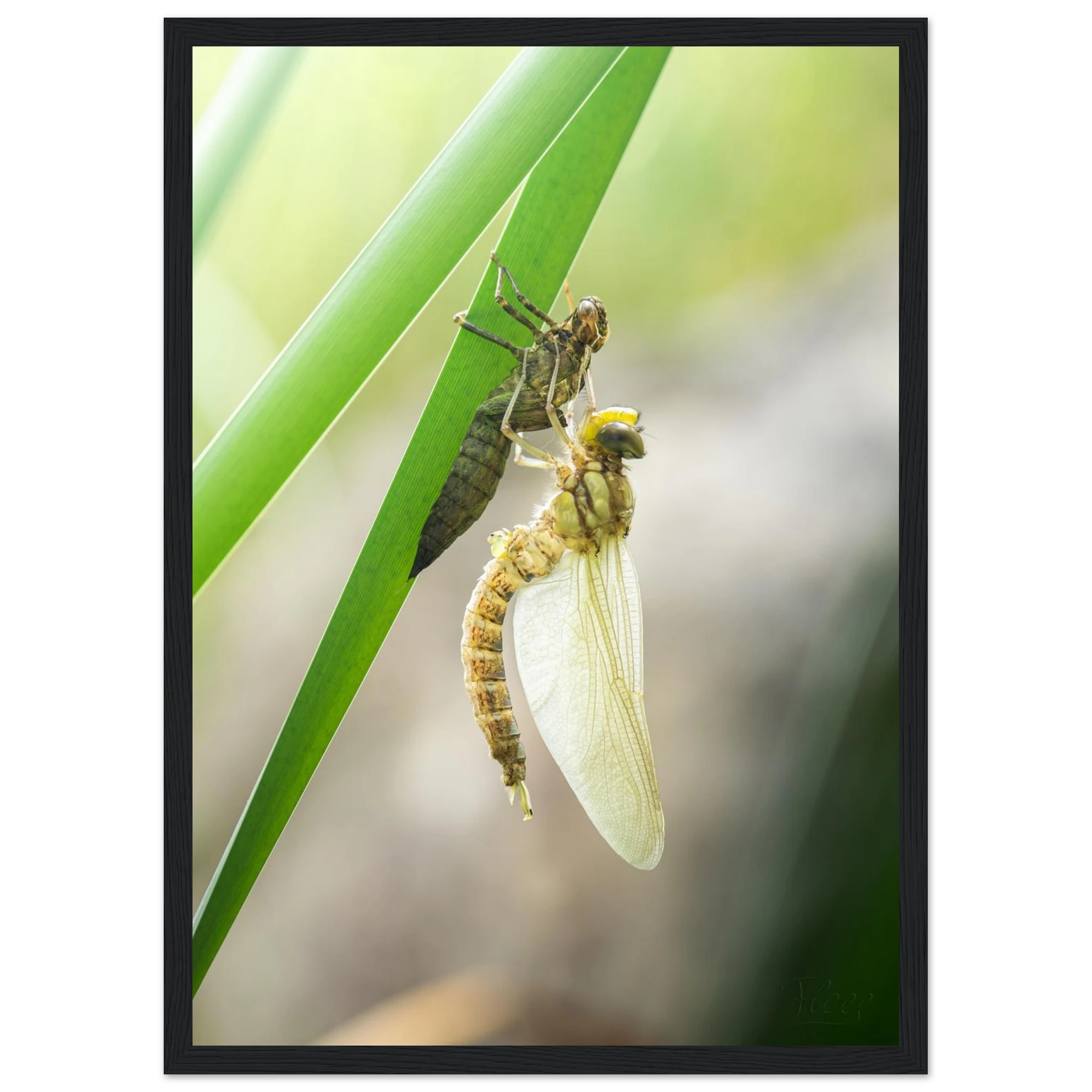 d661346b-adaf-4469-b38c-8aa543b5cbbf