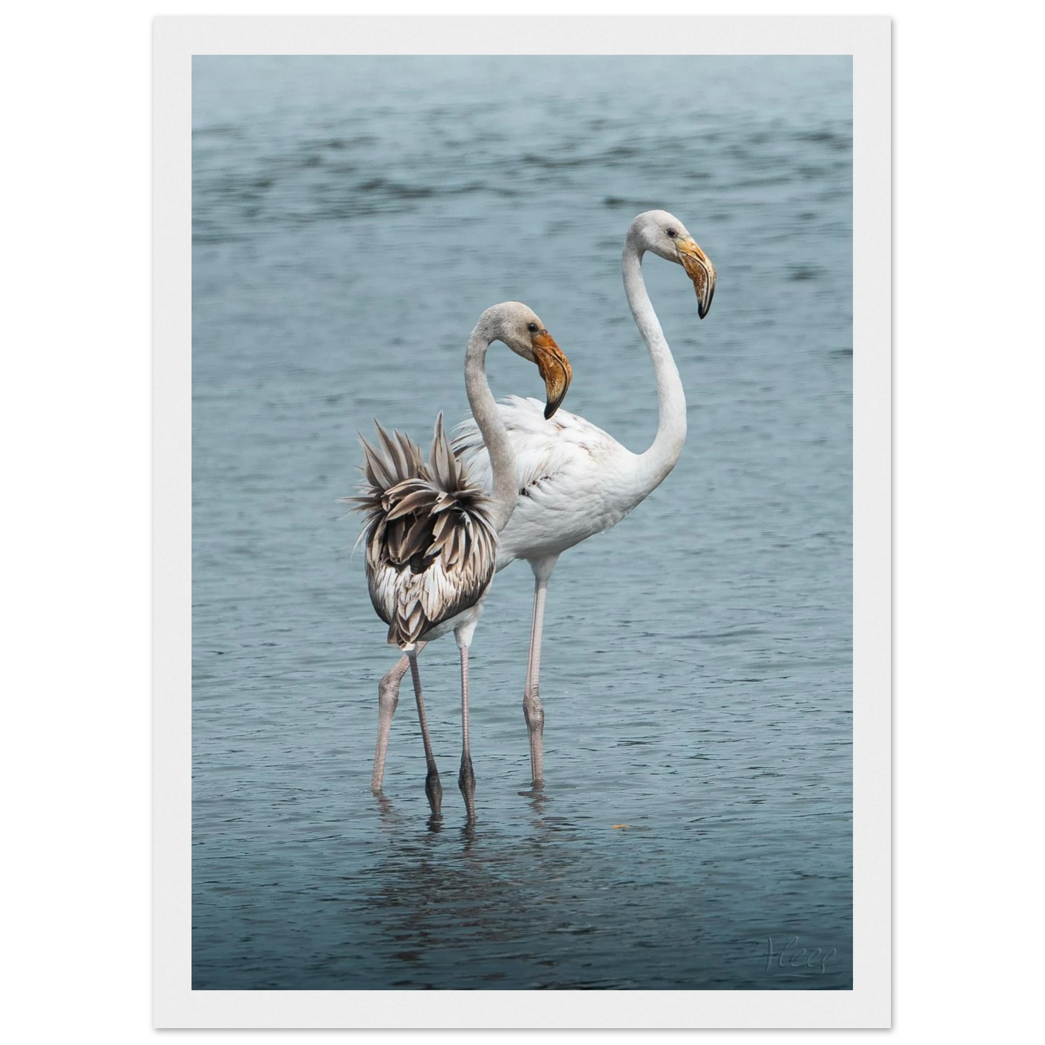 d692a782-c7a7-405b-84a0-be30c7c000bf