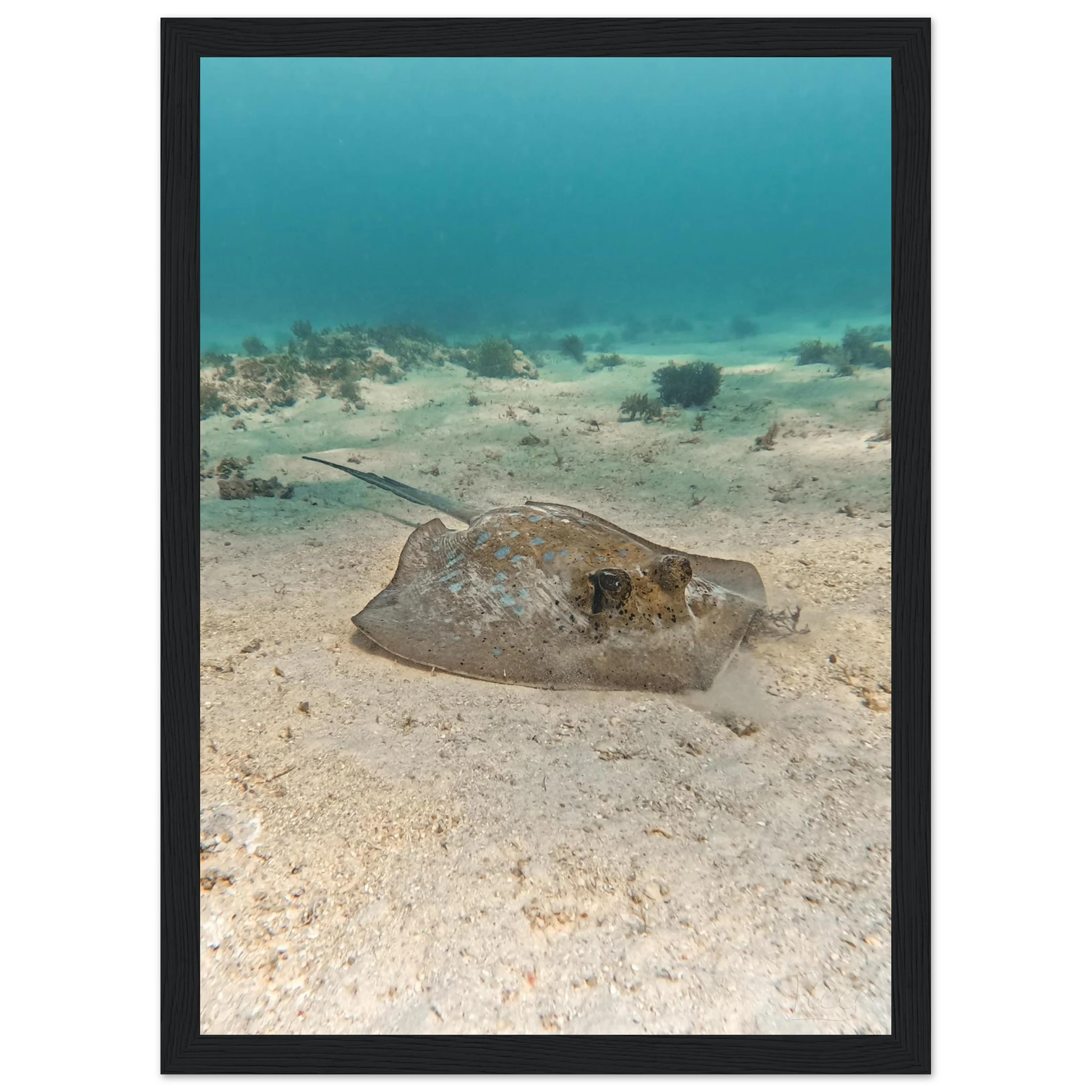 d6d7c098-a056-4b1b-9729-38f3ab51f684