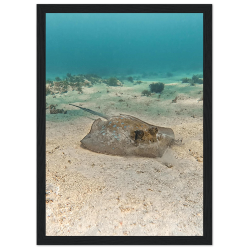 d6d7c098-a056-4b1b-9729-38f3ab51f684