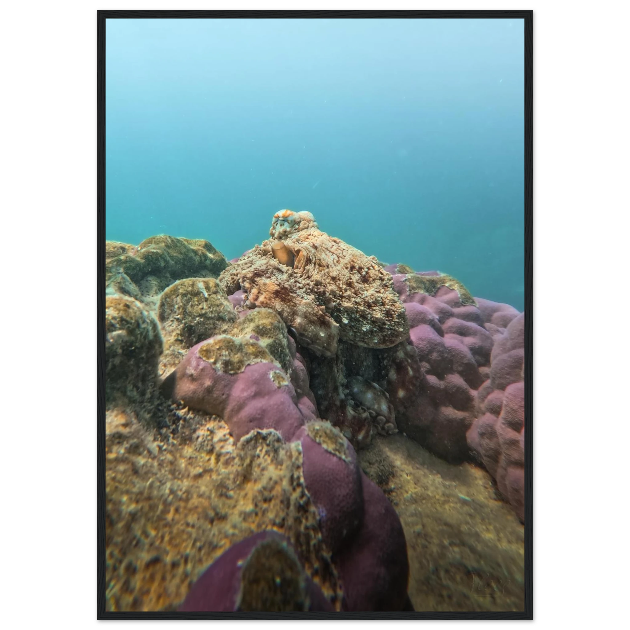 d70945f7-d18a-4f0b-b185-1563141ef9ce