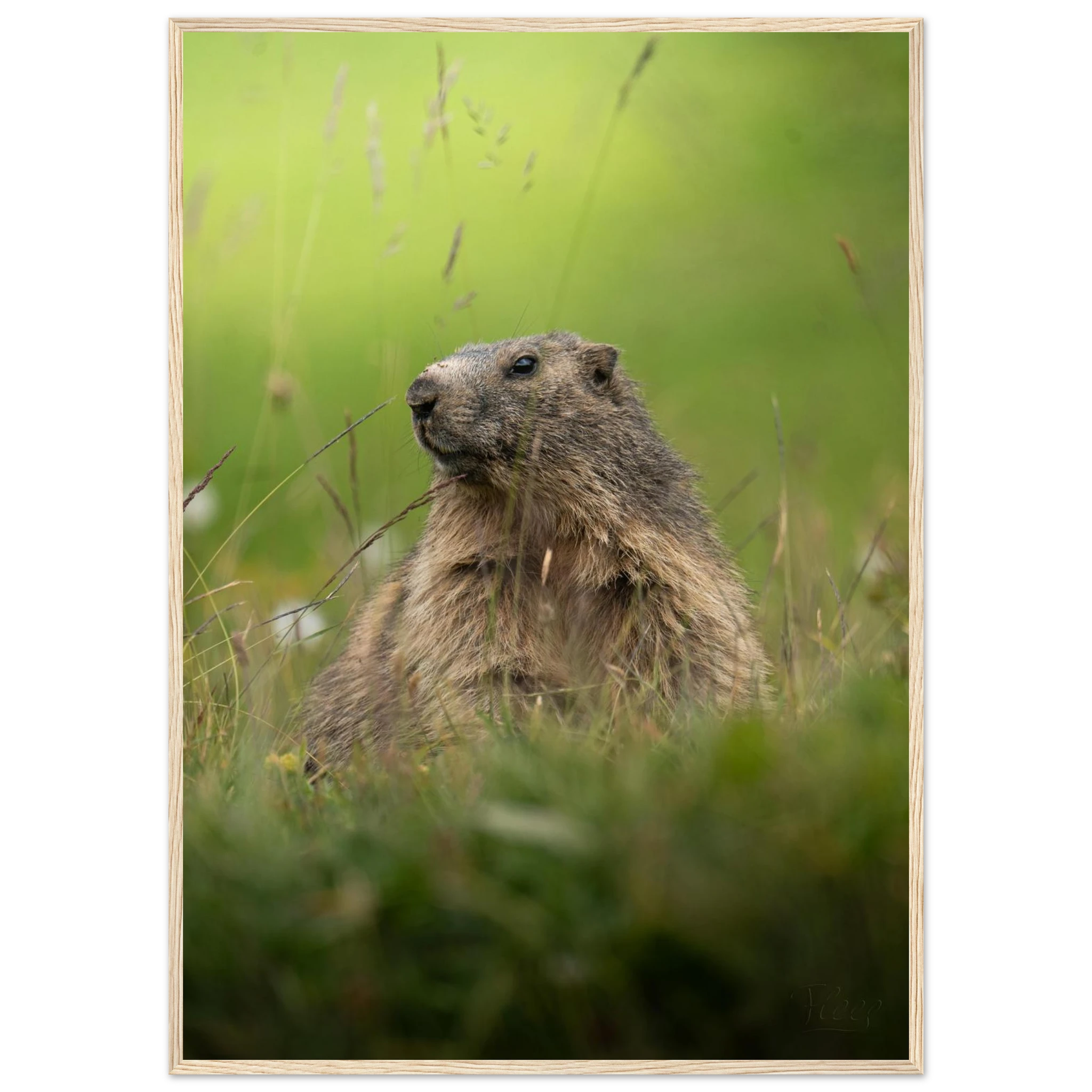 d7137742-3213-441c-afa1-06eb6ba065aa