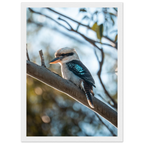 d7884d42-27ab-486b-8196-fa5fecdc39ae