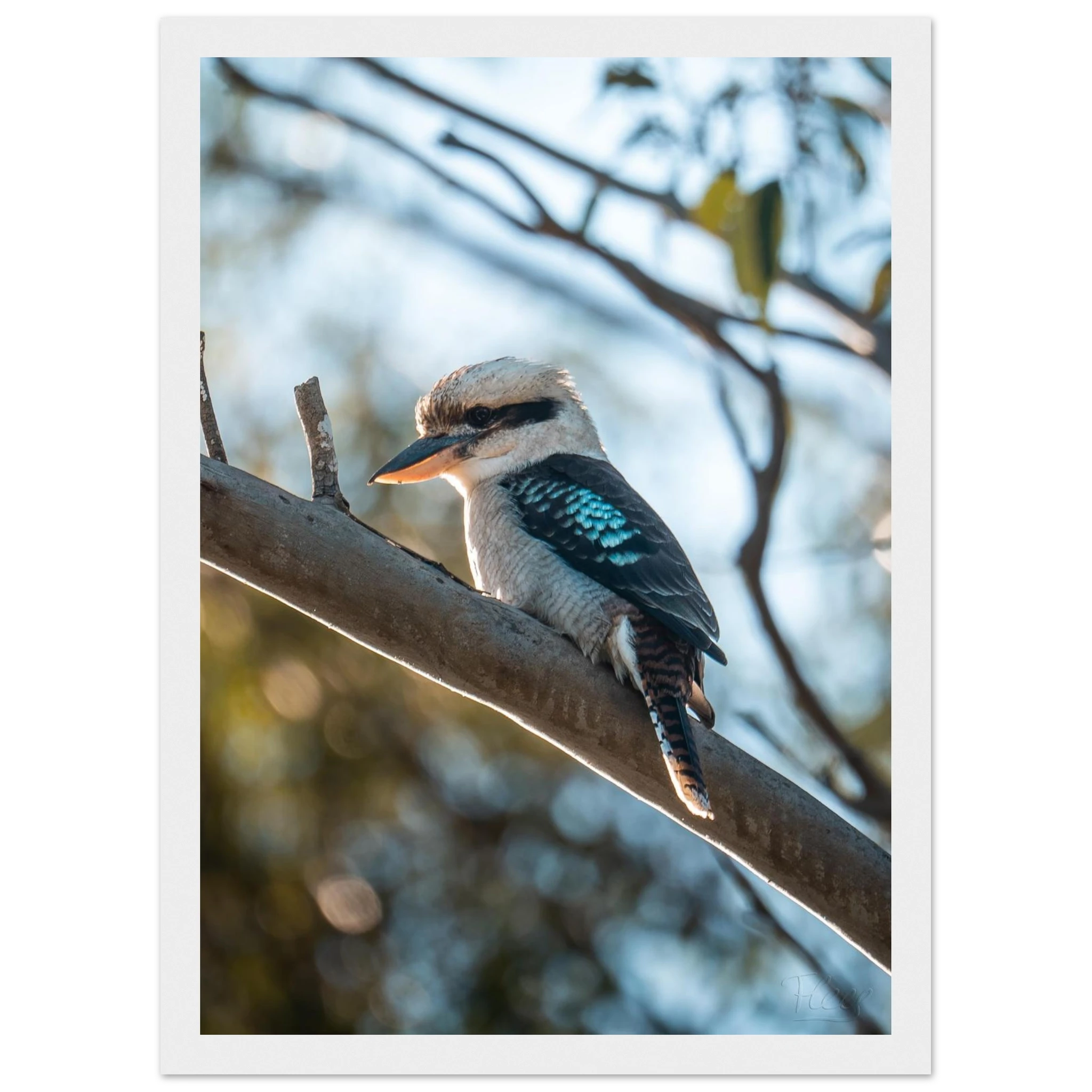 d7884d42-27ab-486b-8196-fa5fecdc39ae