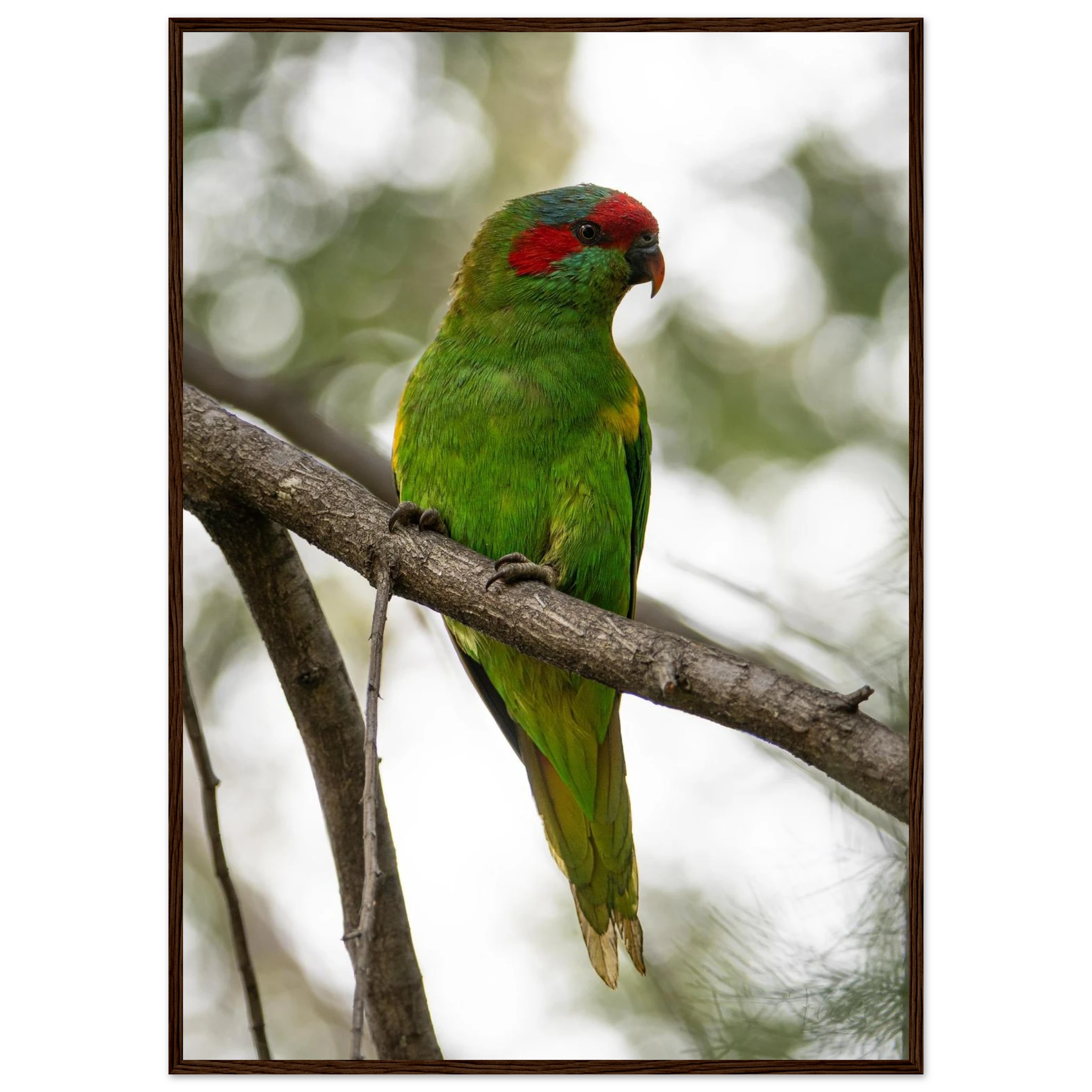 d7bfa72a-529d-4462-8e7a-352cc94df9d4