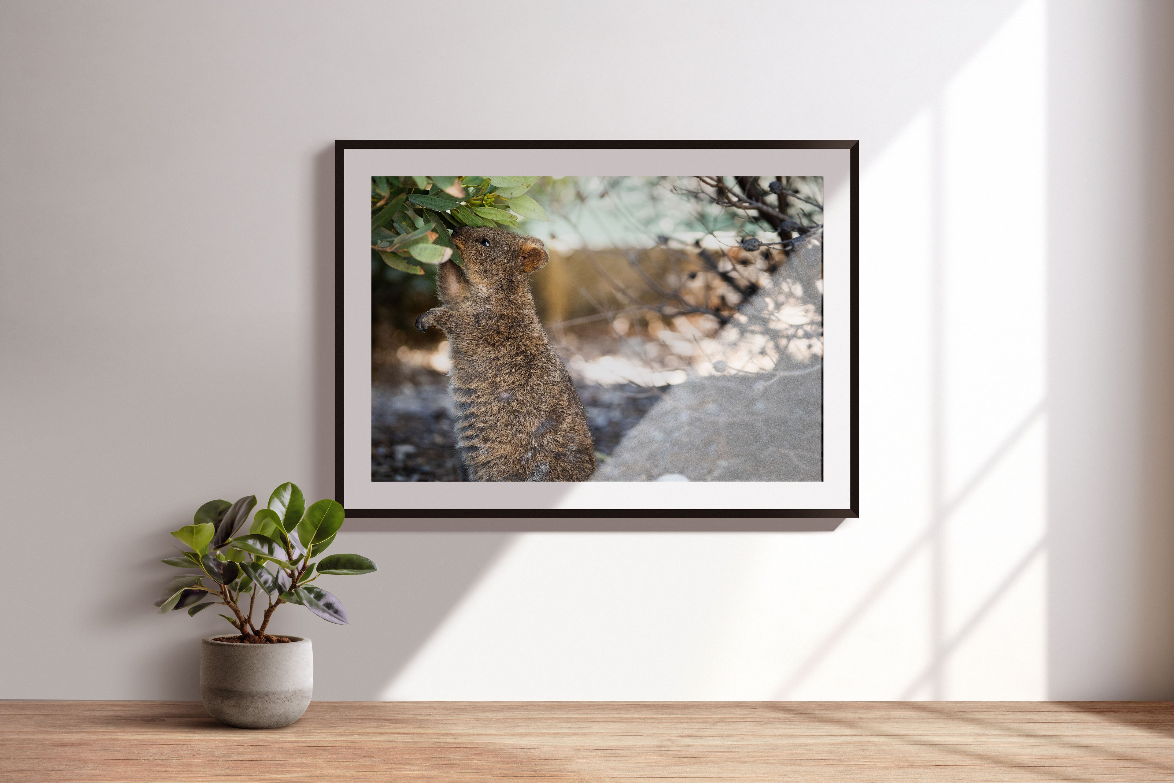 d7c45740-5c2c-43f8-a0aa-98726562f944