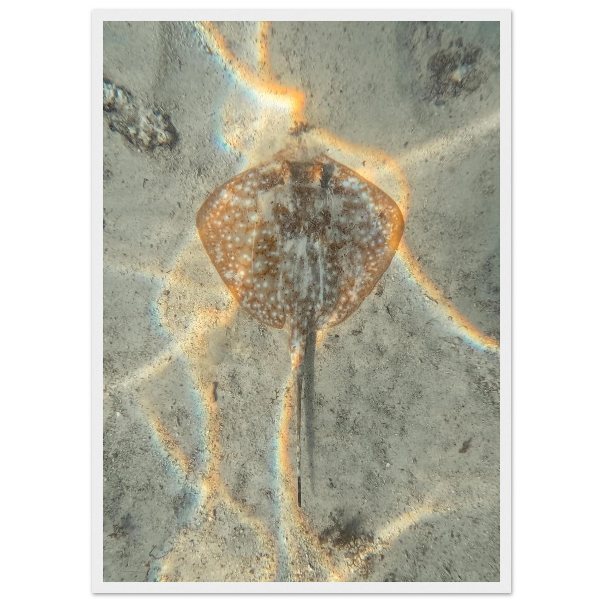 d7f06d07-2e34-4733-8a23-a3a9cbfc12a8