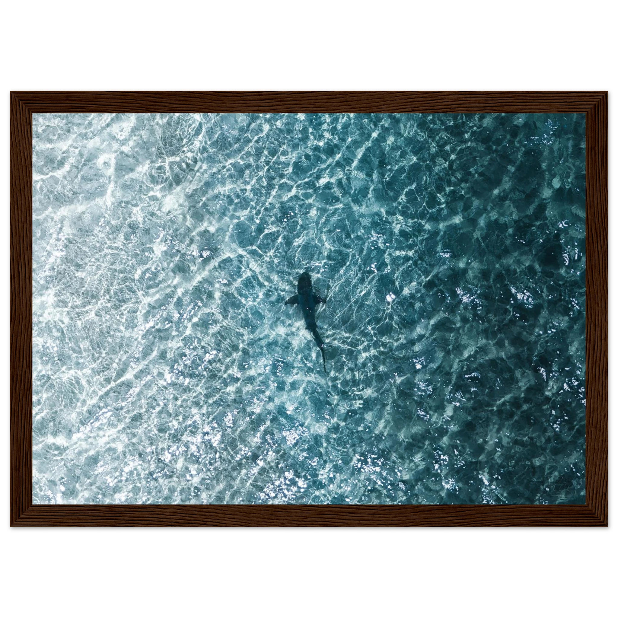 d86b1444-7fdd-4446-8847-c83586e86e45