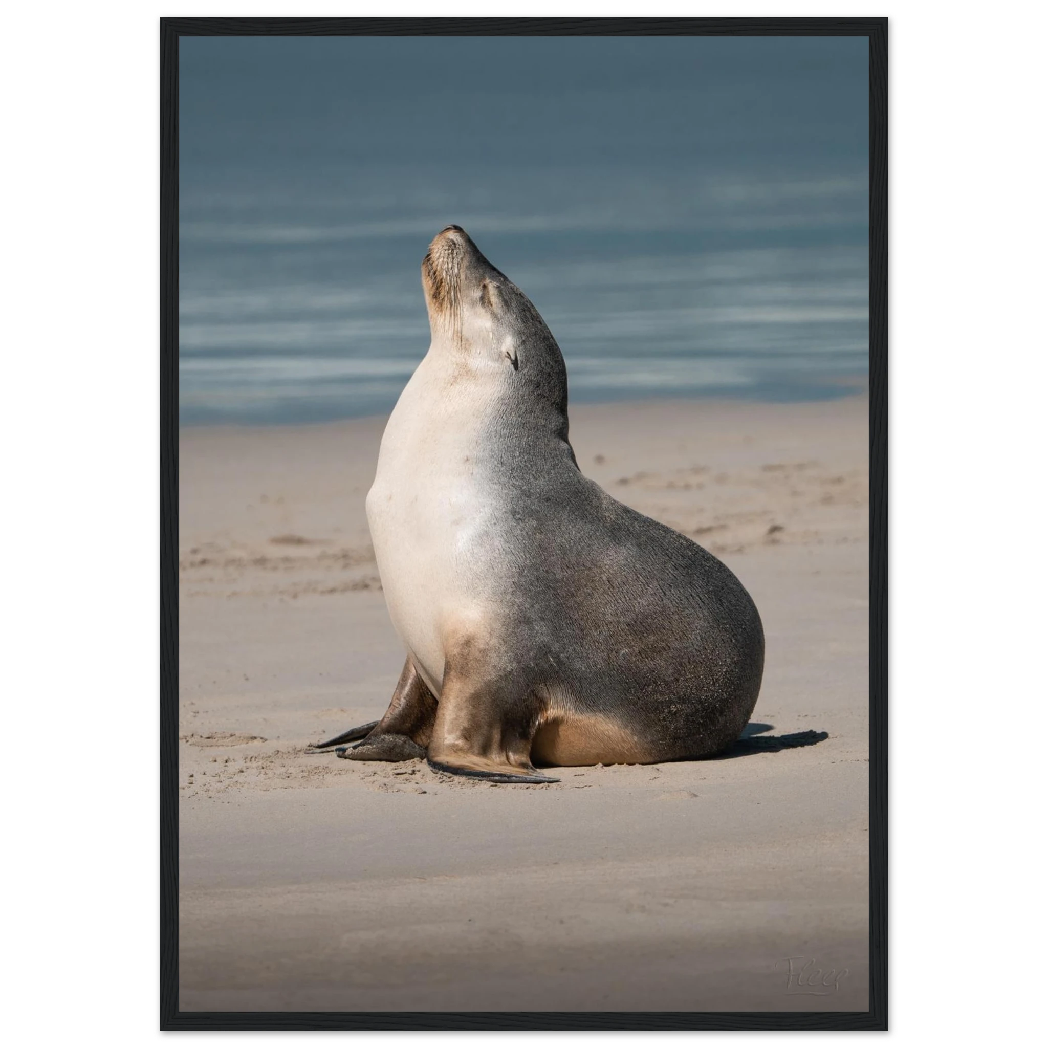 d9408a89-061c-4618-b199-4c5476c633e8