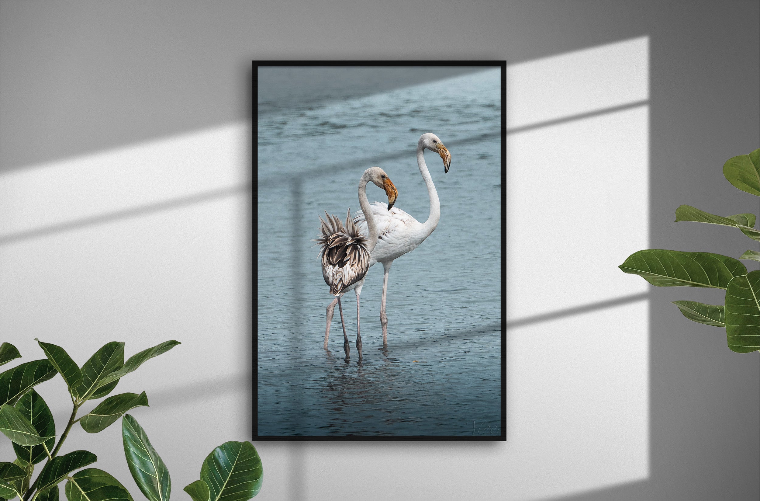 d9ea4065-f98a-4227-ae7e-b07347b1aca1