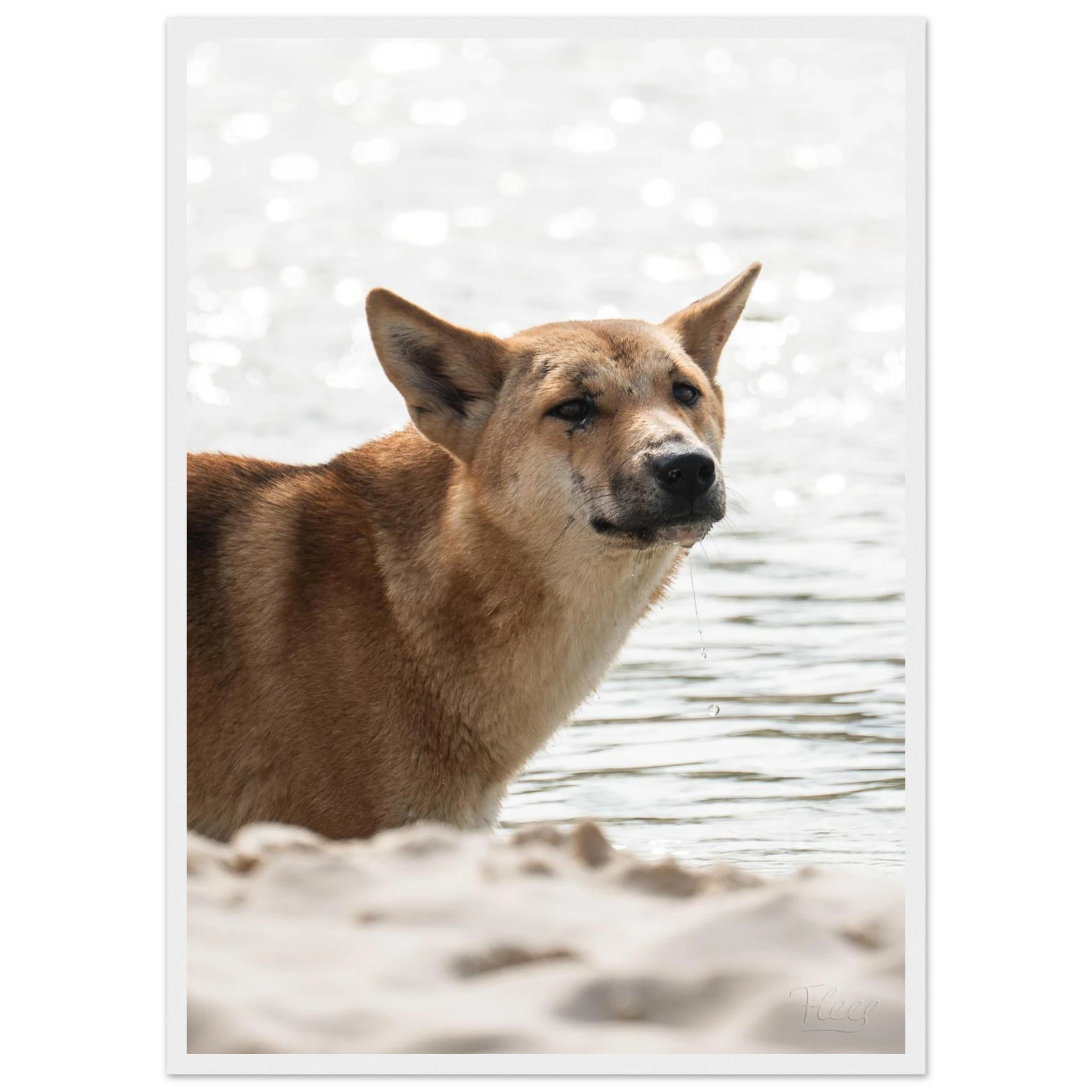 da68c03f-a41b-4adf-a855-4c52839fcd1d