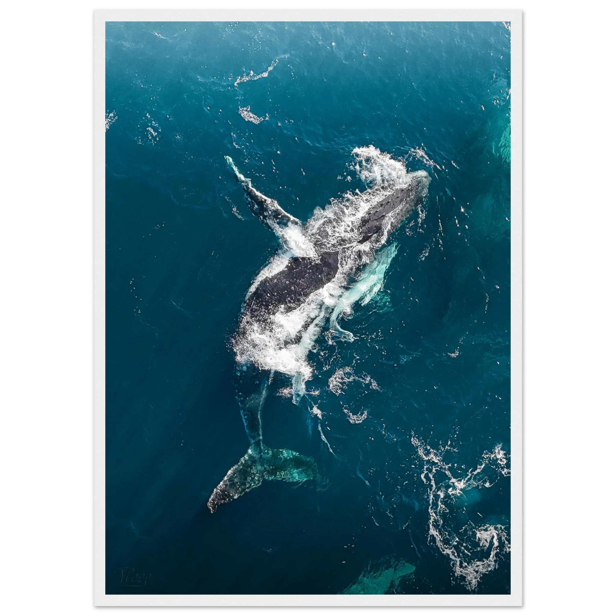 db050e73-3eb0-4c11-be3e-d922750a7510