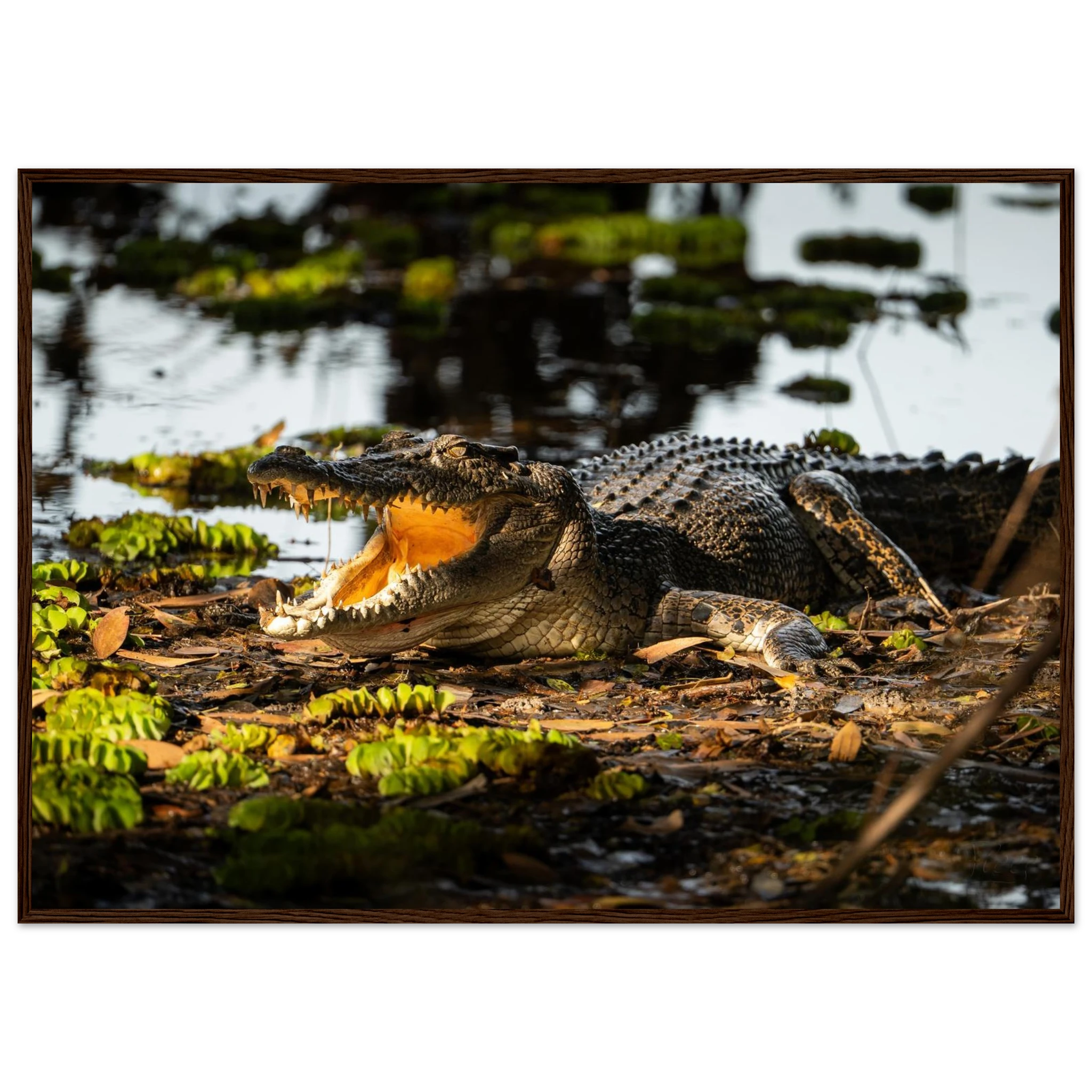 db2b5feb-c8b9-4ffd-9680-df15f85a3afd