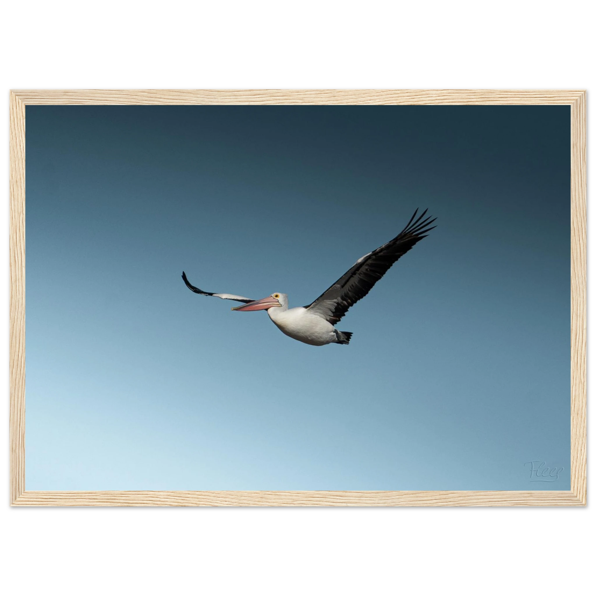 db75ca6c-7cba-4f2d-b6e7-5a2574e1201d