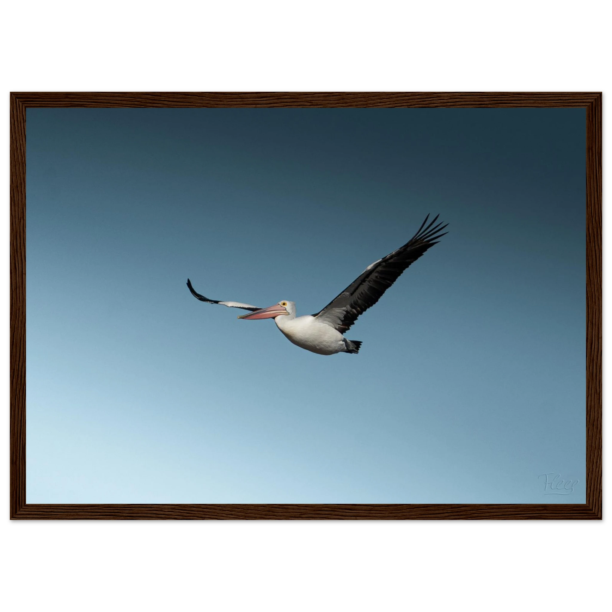 db7ac15e-288d-4217-8e21-9b3849677b22