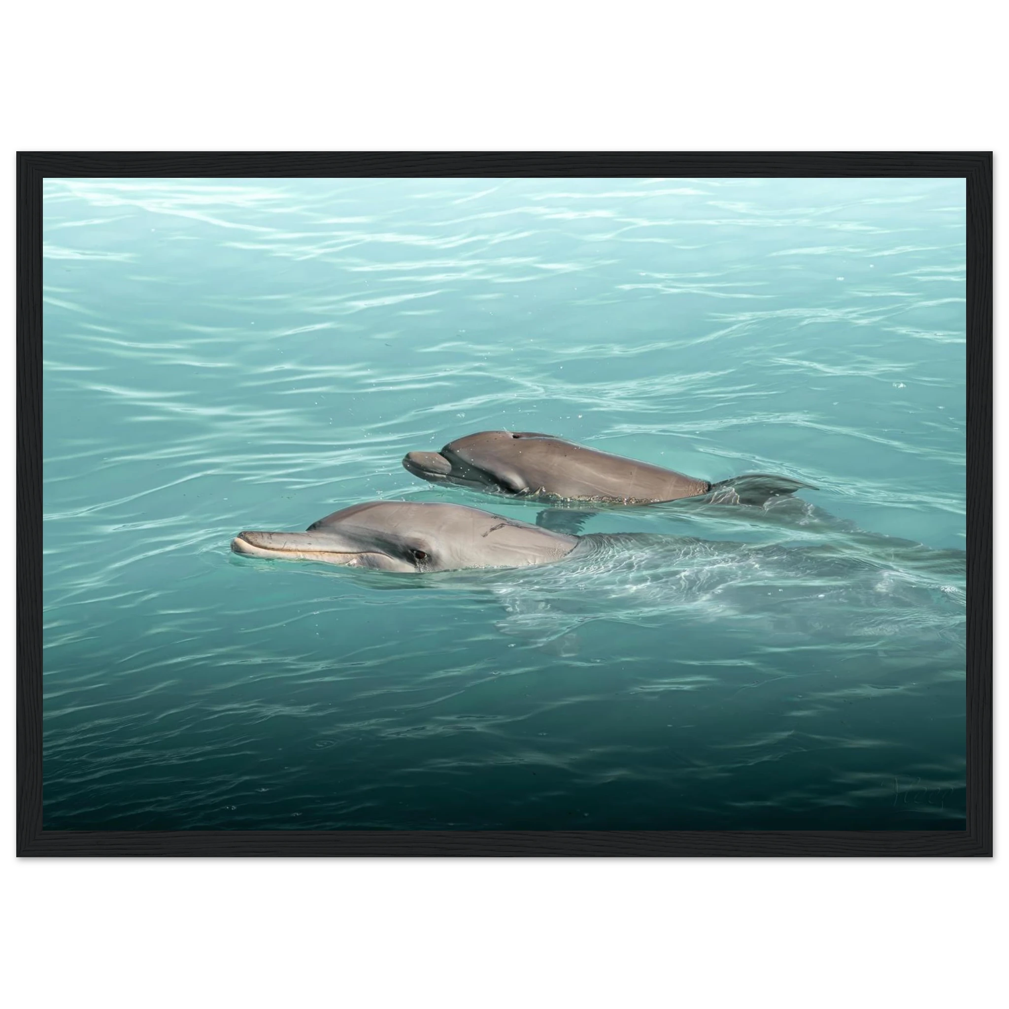 dba1cb72-704e-4743-926d-184f8d58a80d