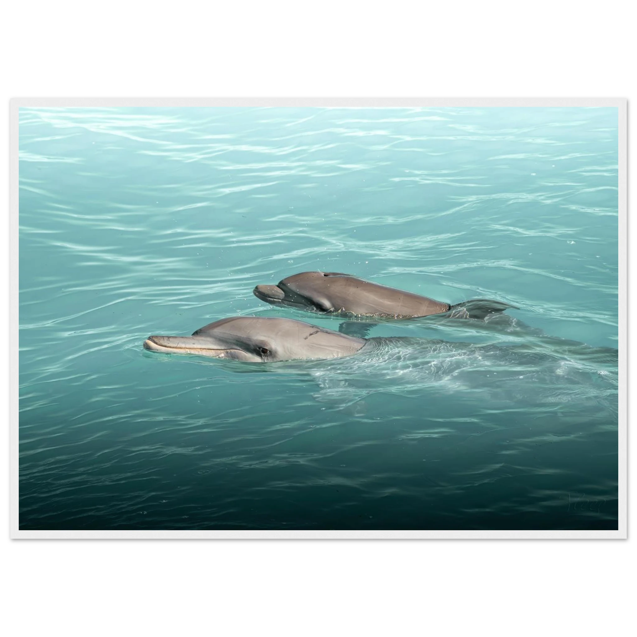 dca7082d-fce1-424e-bbf2-ca705c096edf