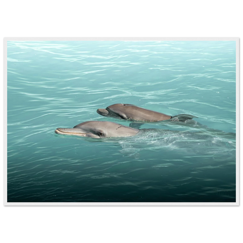 dca7082d-fce1-424e-bbf2-ca705c096edf