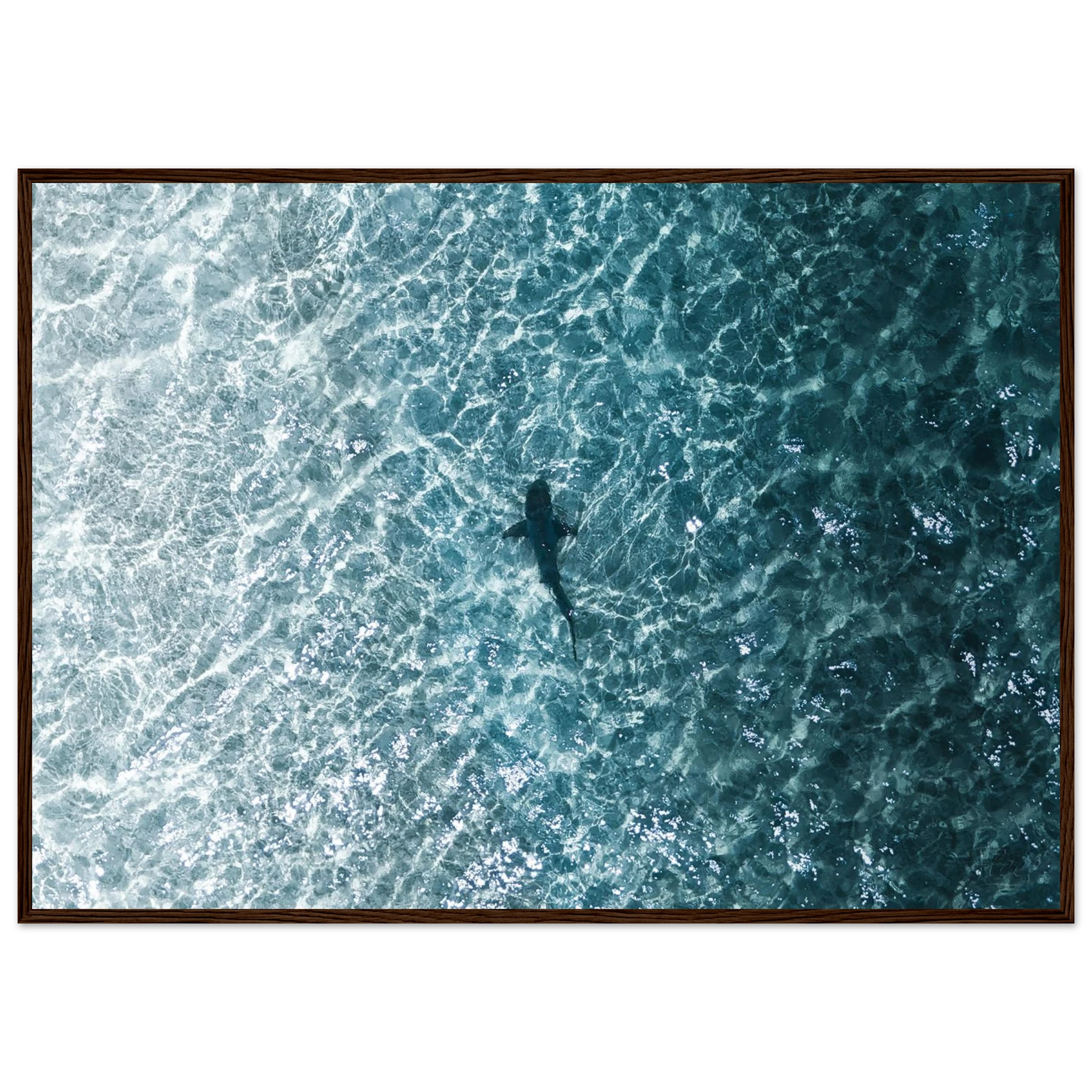 dcfde2eb-60dc-4865-b950-6060b4ac635a