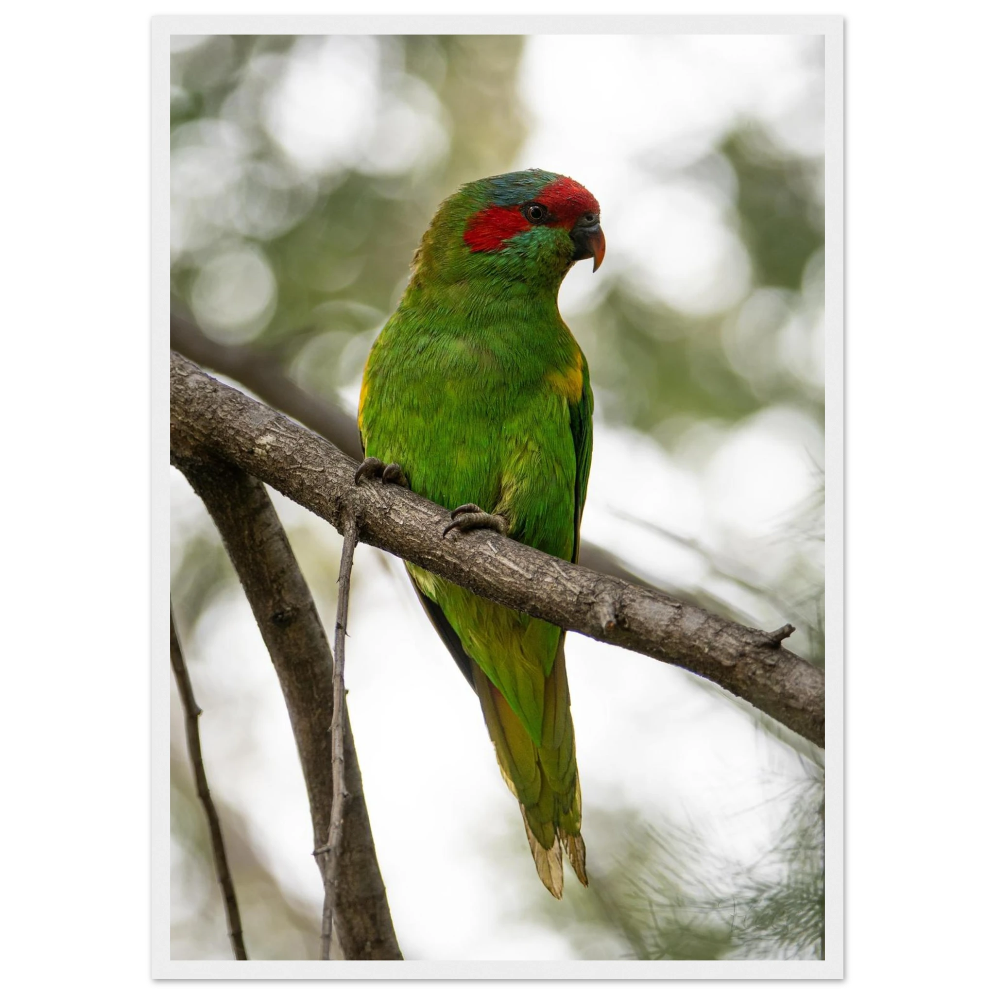 dd2f6469-58d5-4123-b9c5-21f7b966f786