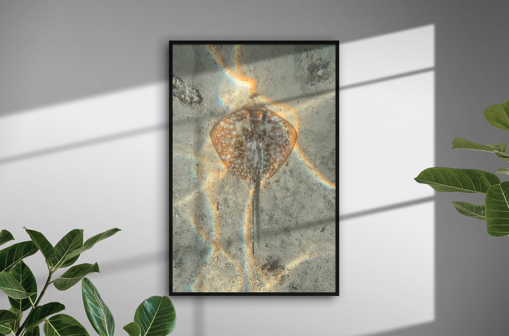 ddb55cd4-f117-4c8d-a381-ecf67aefe07b