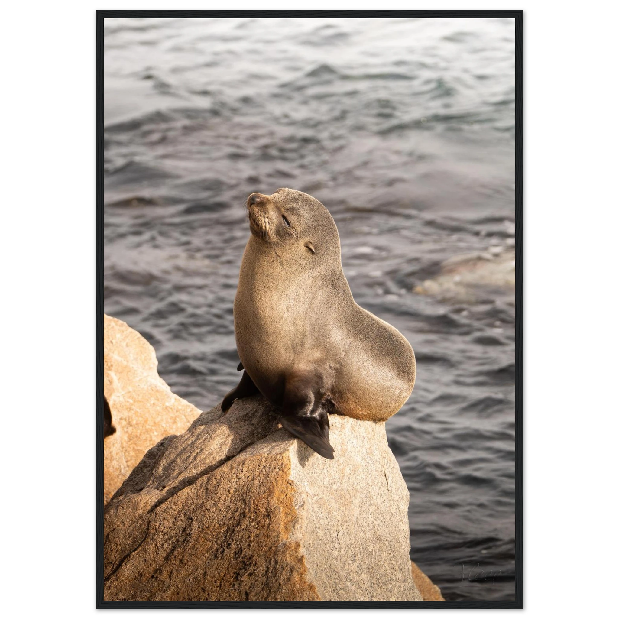 de060293-ec36-4e59-82ee-de358edde5dc