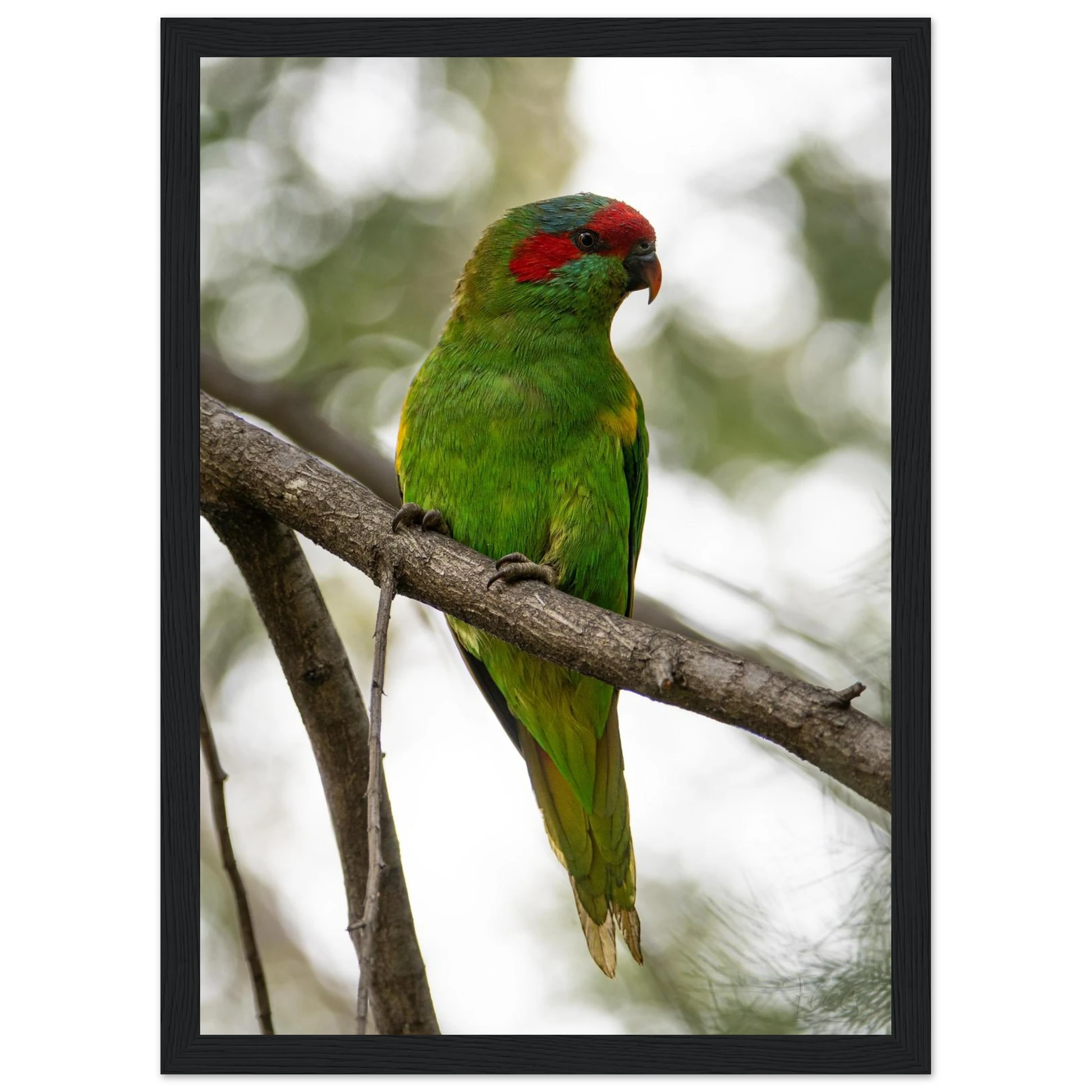 de52818b-1b72-403c-bcf2-52e4f9ed392a