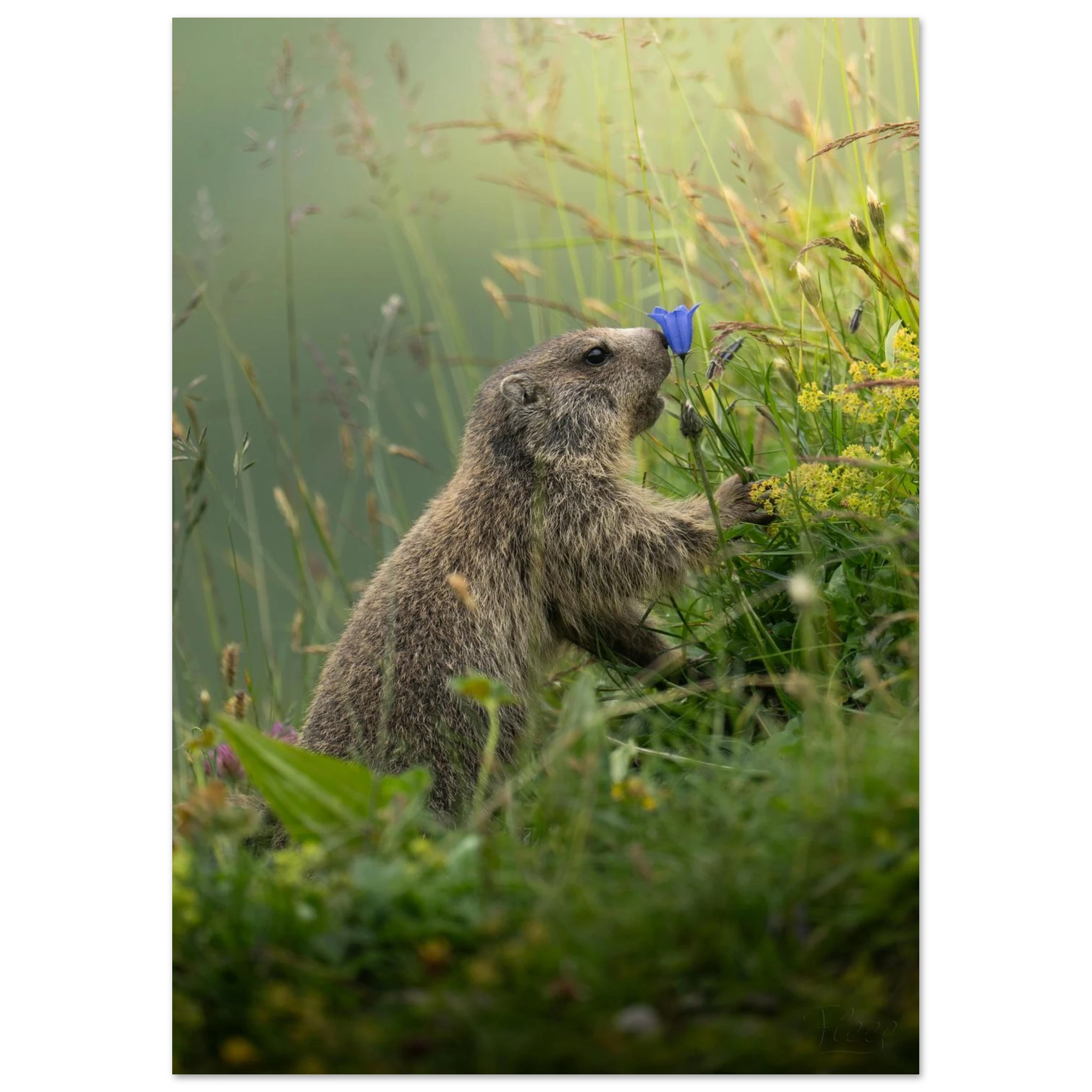 de843bce-9ce3-46e9-9313-9fda55633dcc