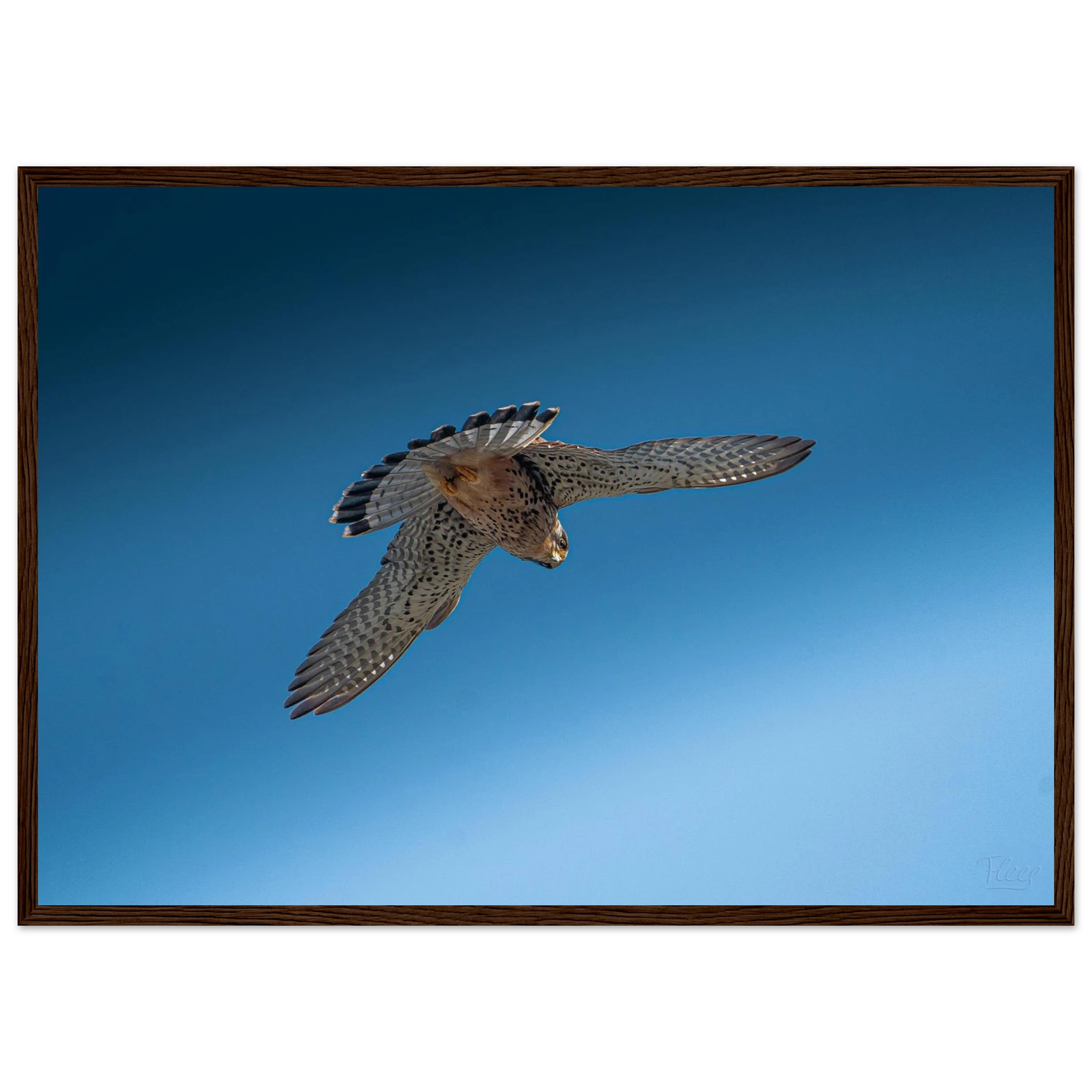 df352700-e8ae-4a57-acbe-557185bf04e0