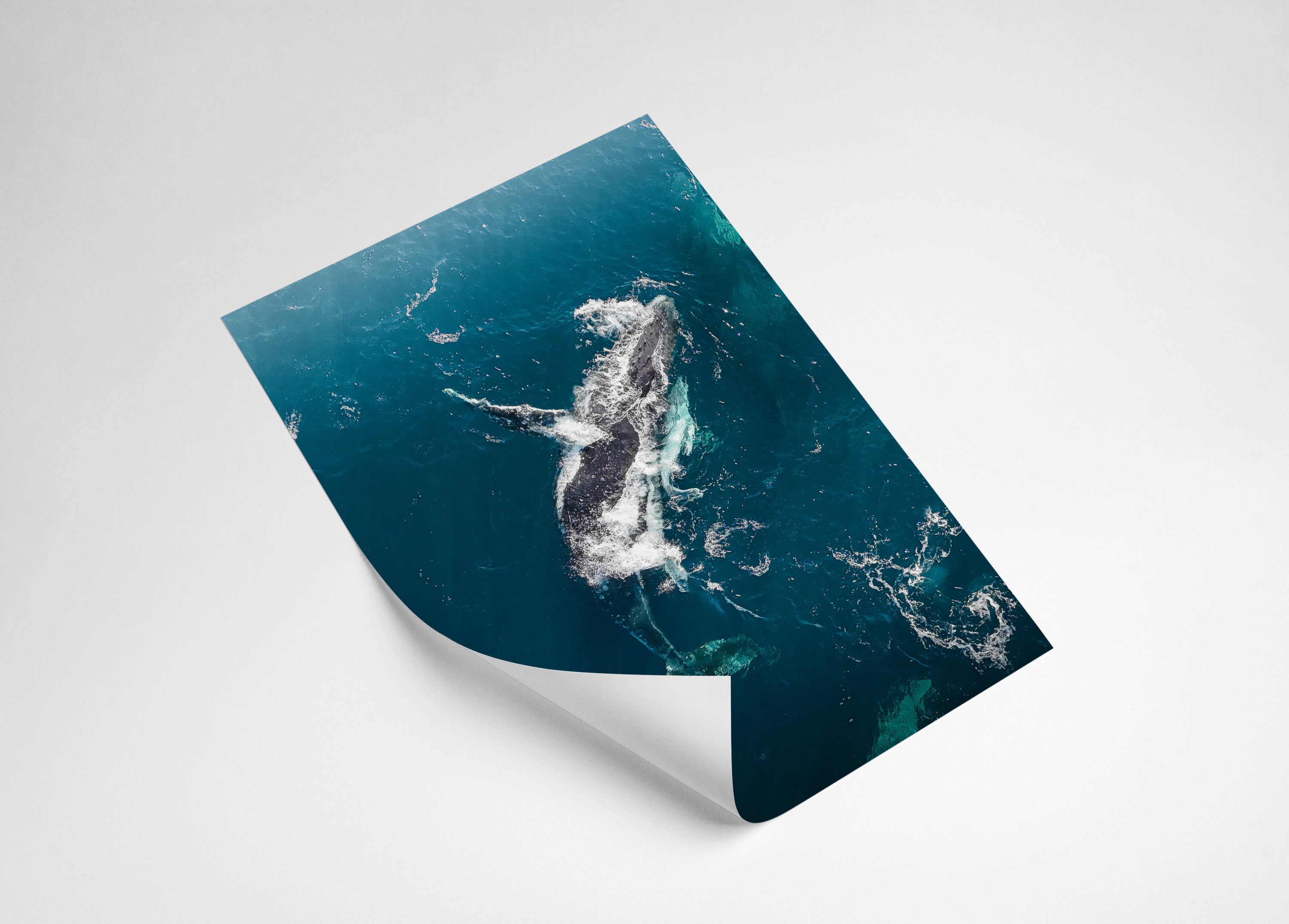 df4cda00-c458-401d-9285-d39810070d95