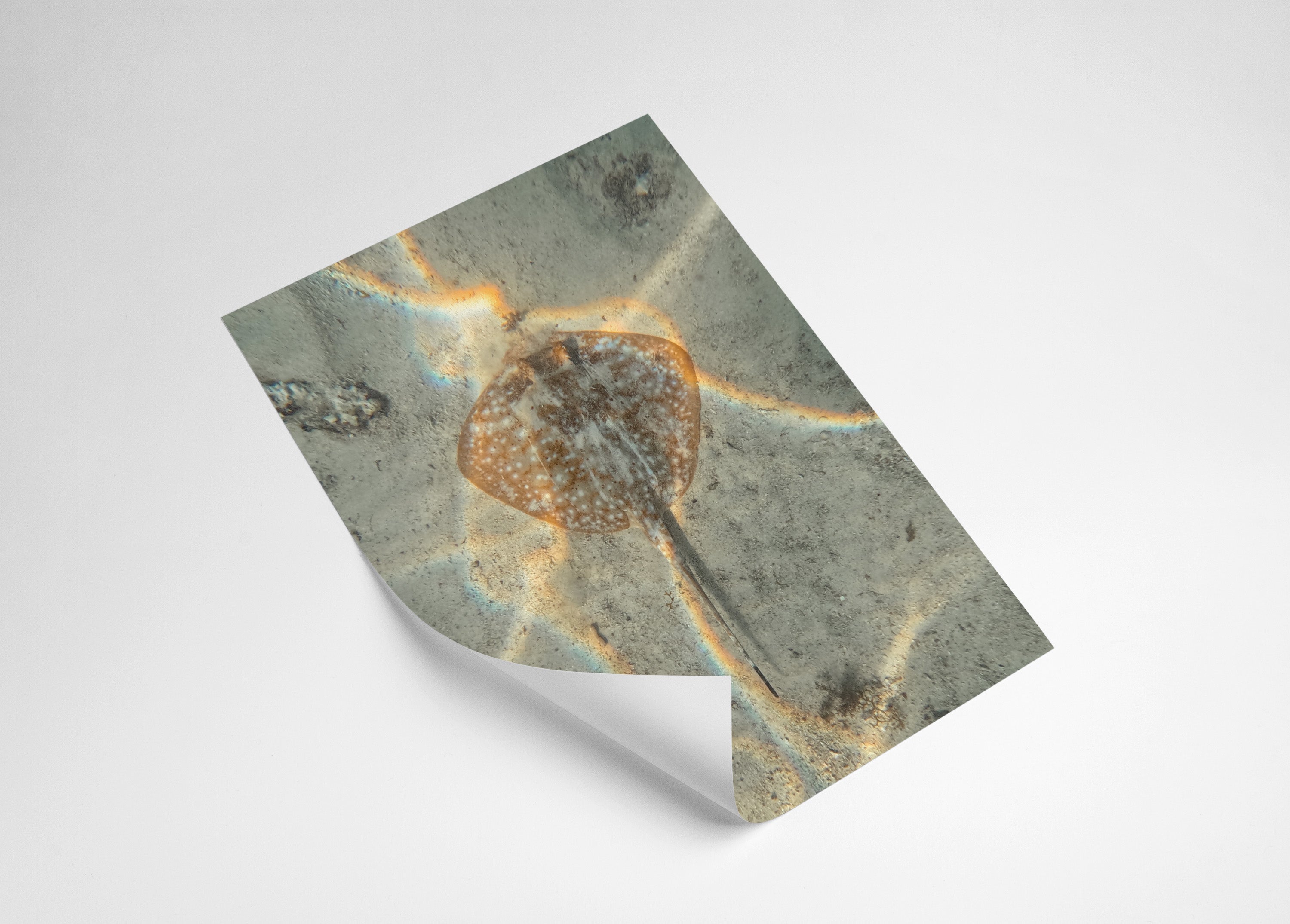 dfc199a8-df4d-478b-b66e-1bbc3b3b20da