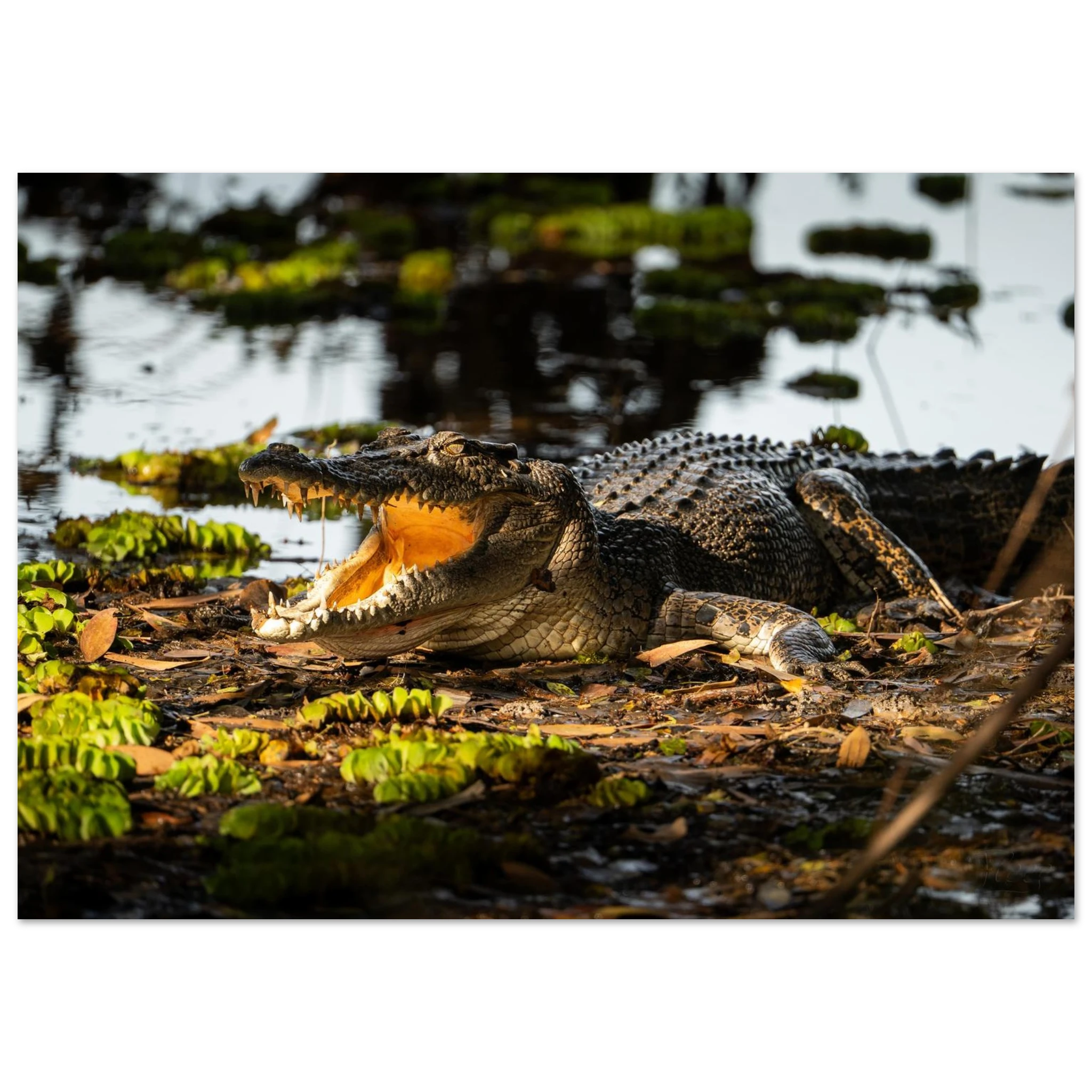 e016f777-c2ef-4e5e-9c2f-b57a09159304