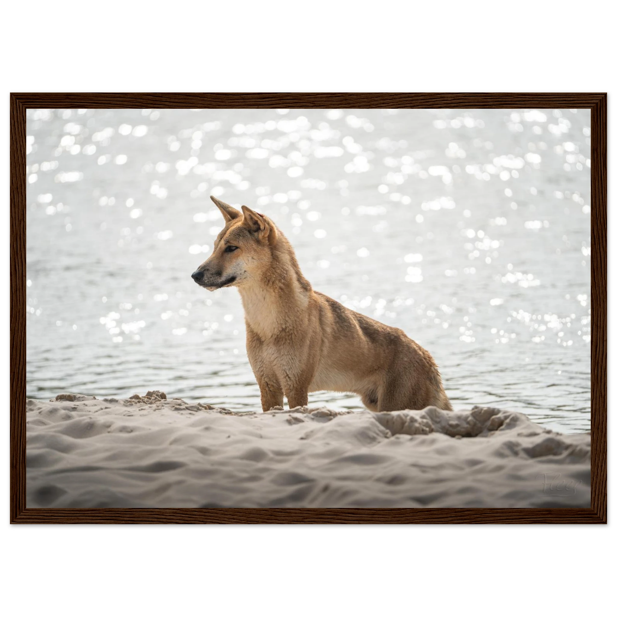 e03dfeba-f525-4218-9e20-8e57df5c621c