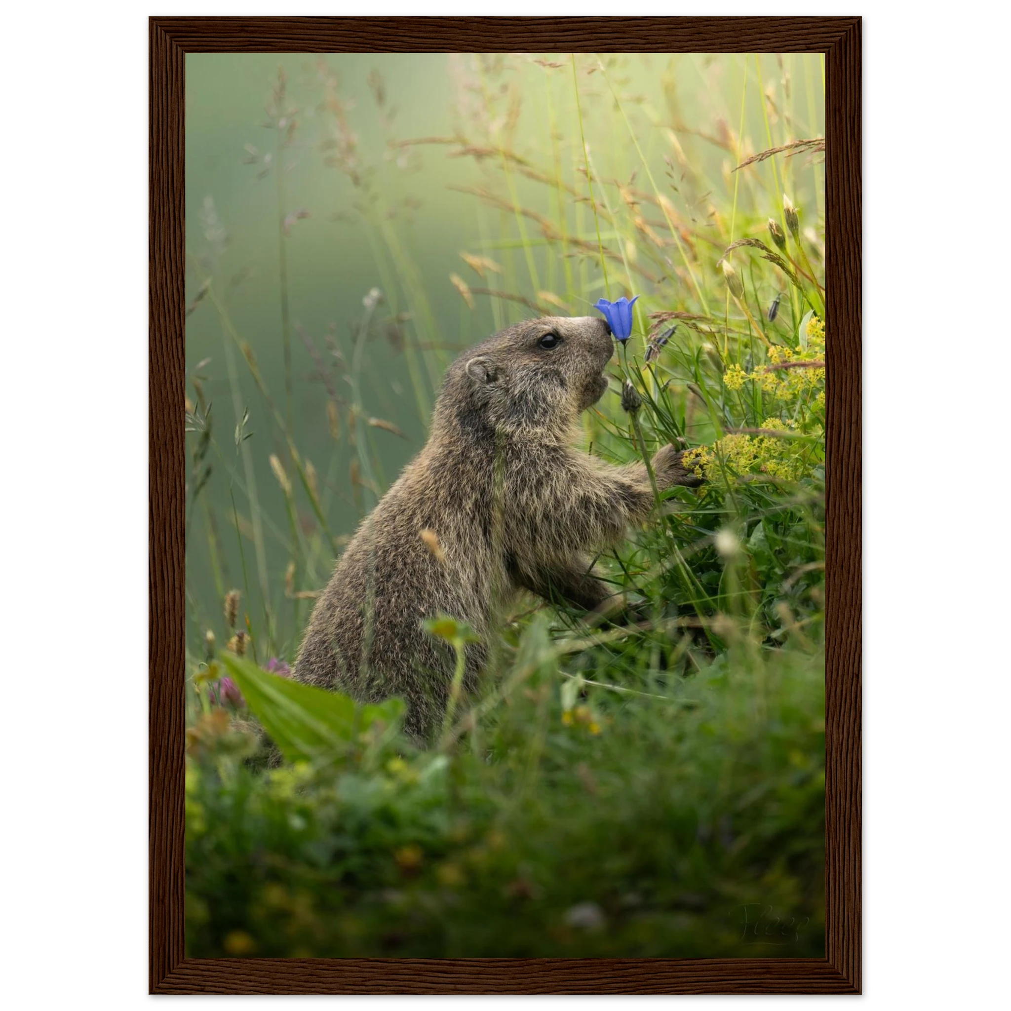 e076b3ad-c3a7-490c-8a7f-e6874728befe