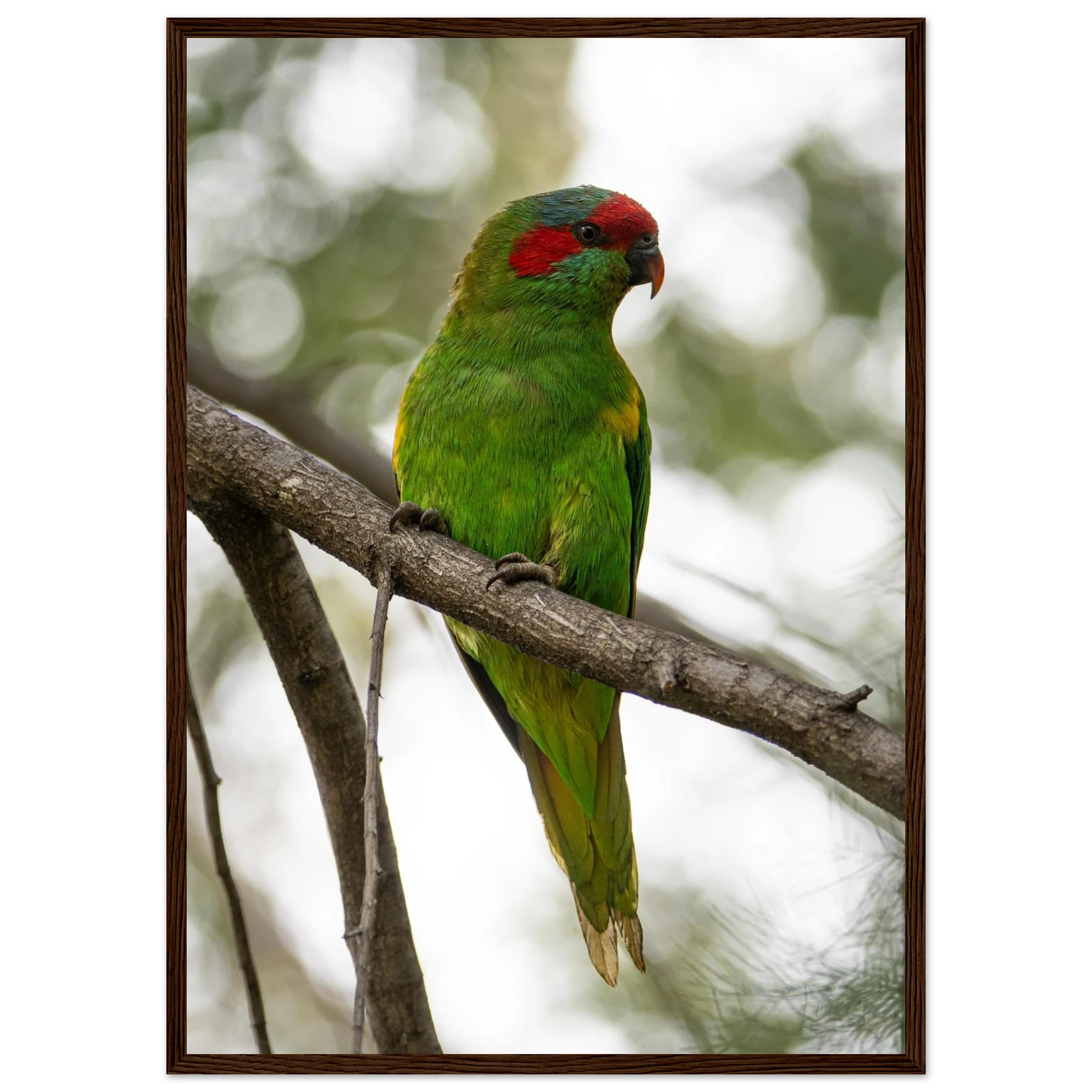 e20d97c6-aacf-47d2-8718-b99de0ad1ba3