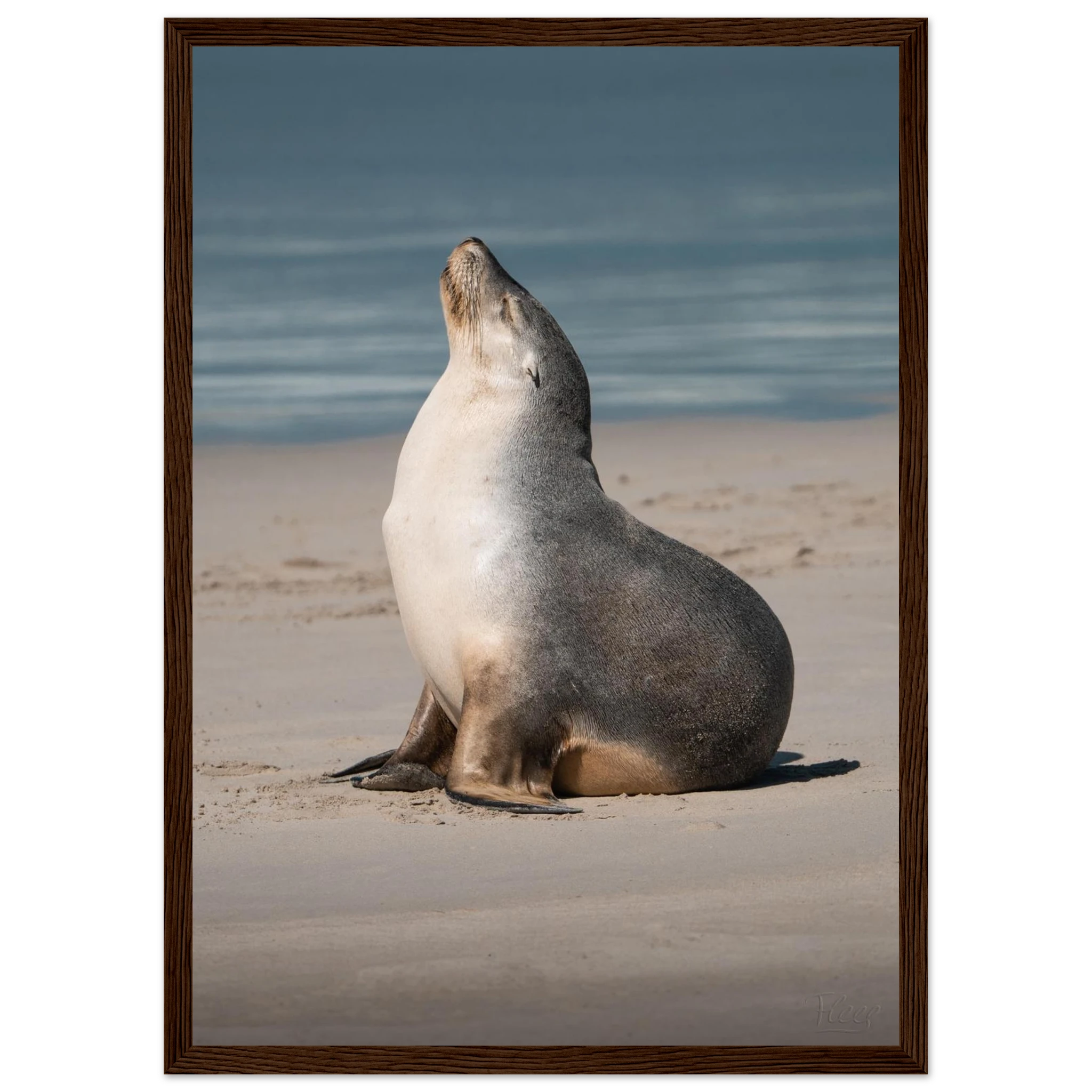 e217f588-cc27-4fa4-b700-cd140c519806